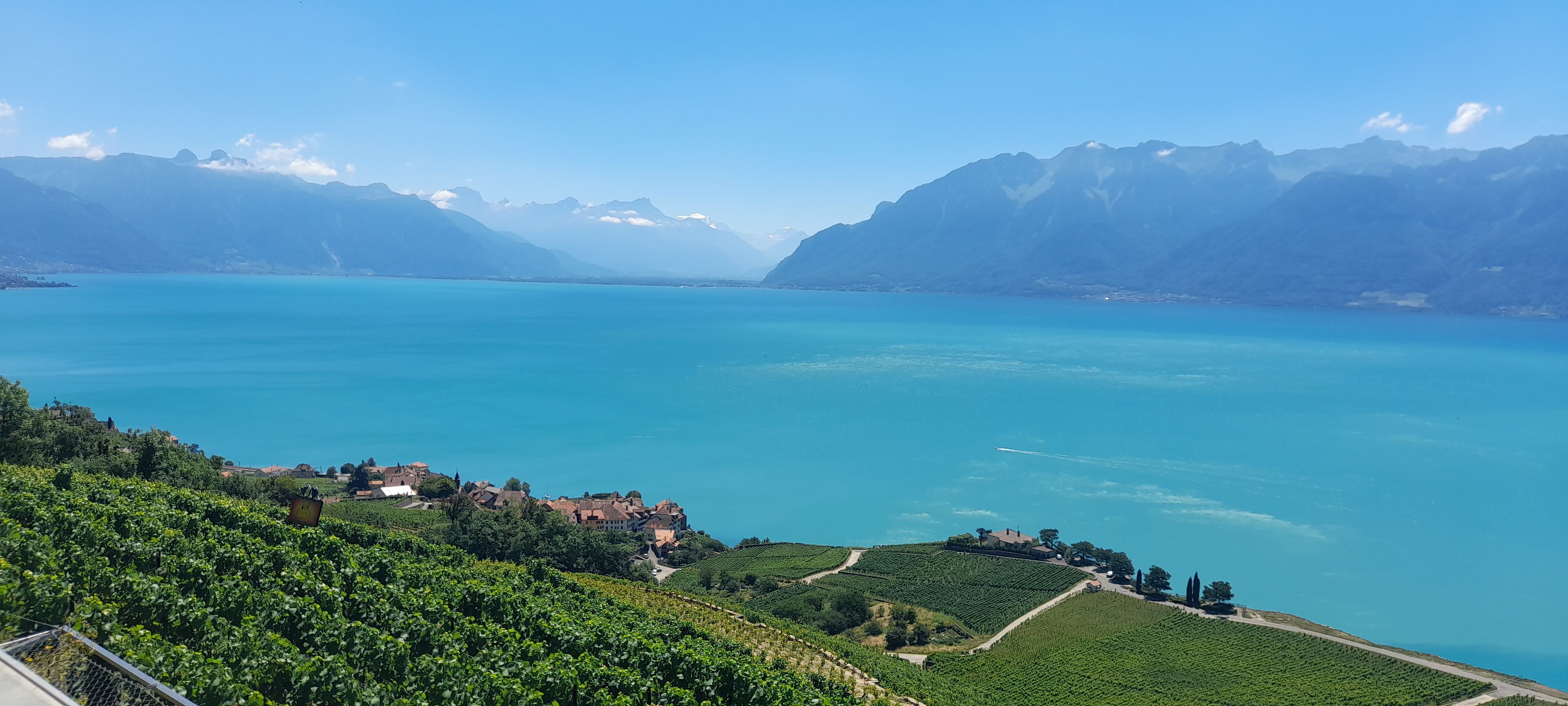 라보: 여름 풍경 속 제네바 호수의 그림 같은 포도밭과 배경의 산들.