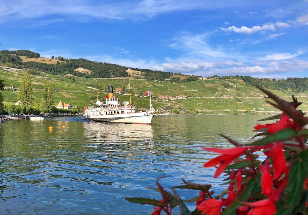 Schiff auf dem Genfersee mit blühenden Pflanzen