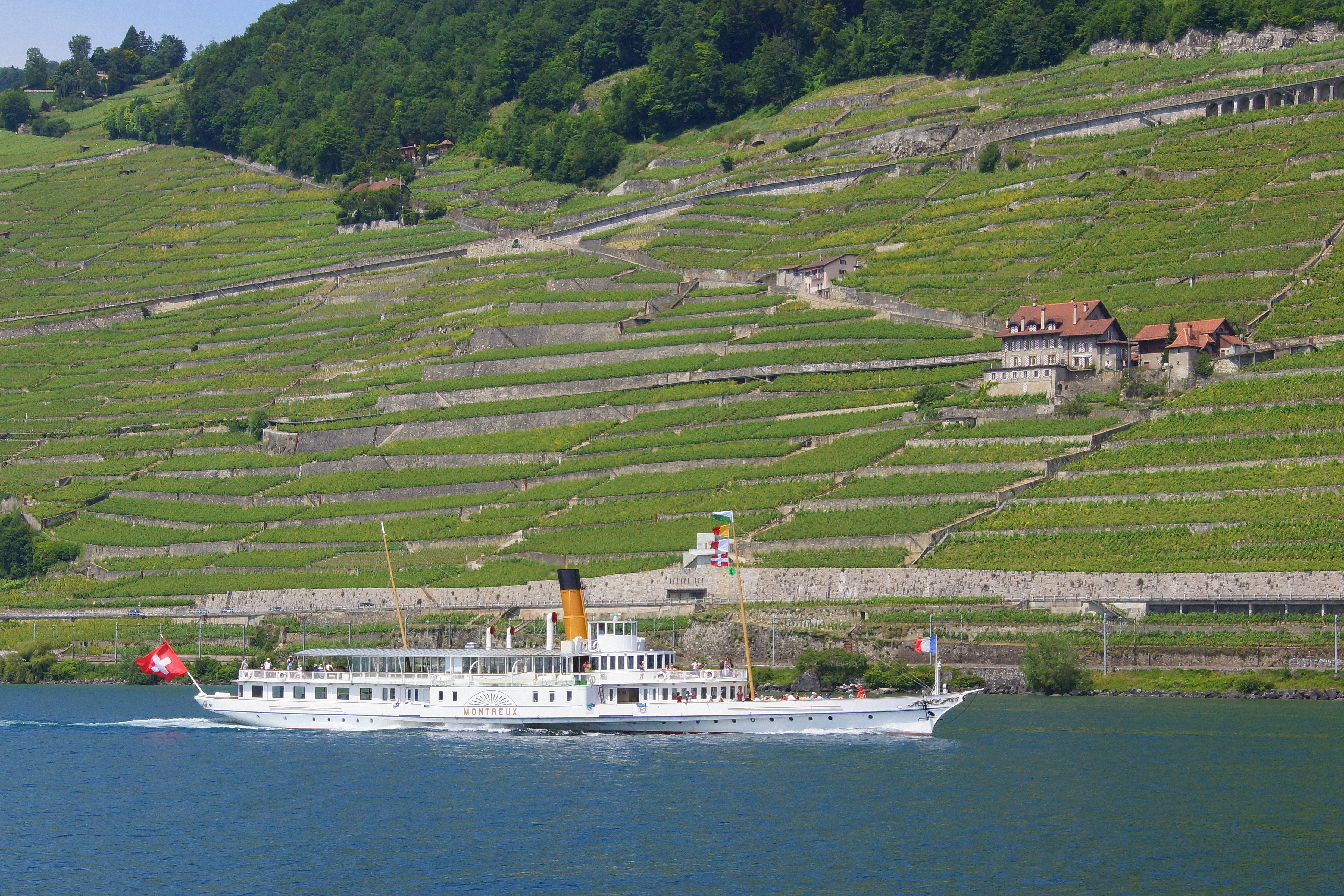 Lavaux vinlandskap med ångfartyg och vinrankor.