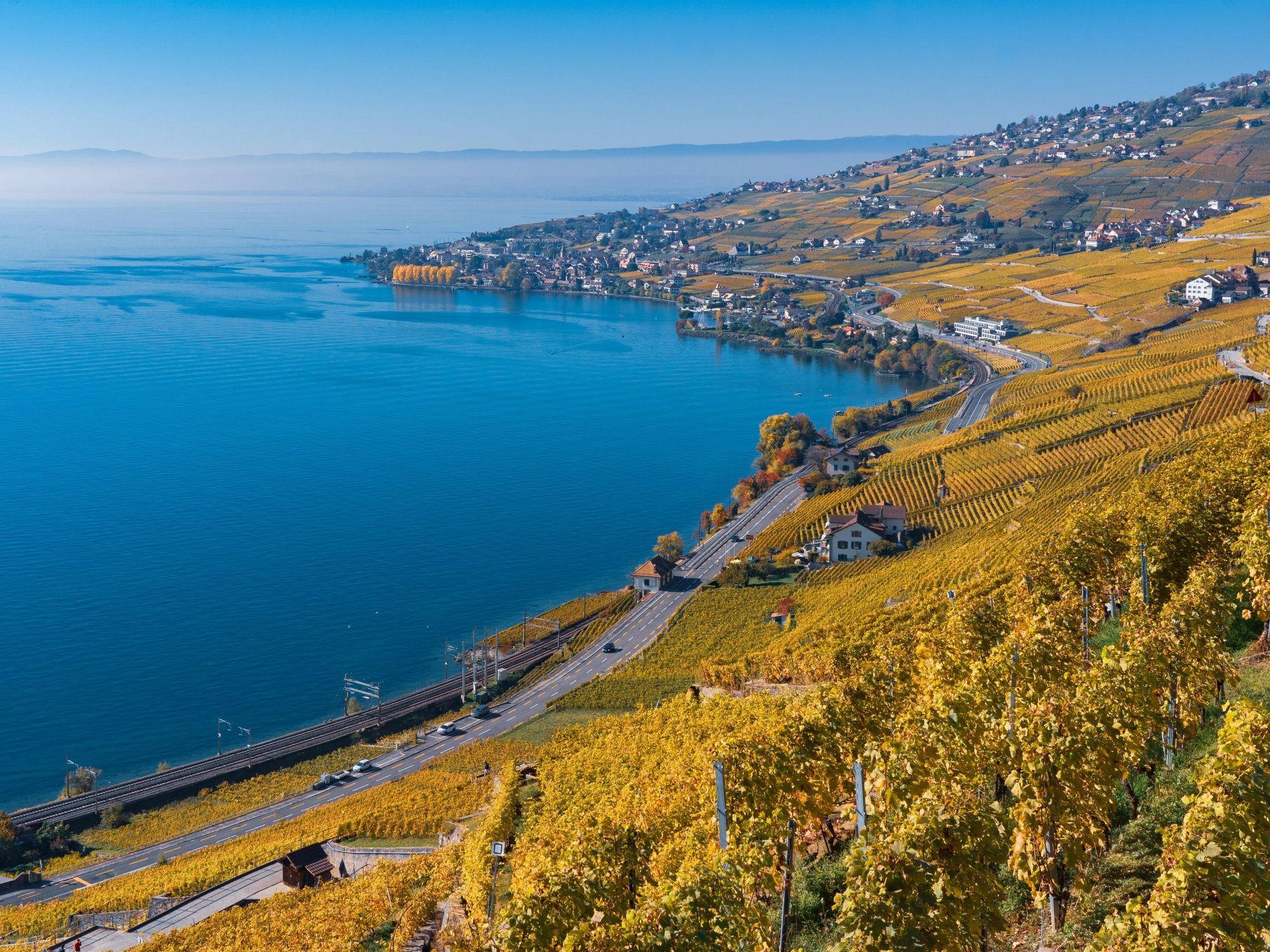 لافو: مناظر خلابة لكروم العنب على ضفاف بحيرة جنيف في الخريف، منظر طبيعي ساحر مع إطلالة رائعة.