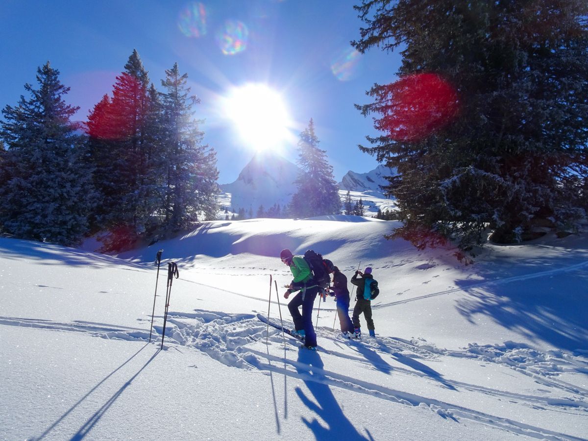 Lawinenkurs: Teilnehmer im Schnee, Skiausrüstung, Berglandschaft, Winteraktivität.