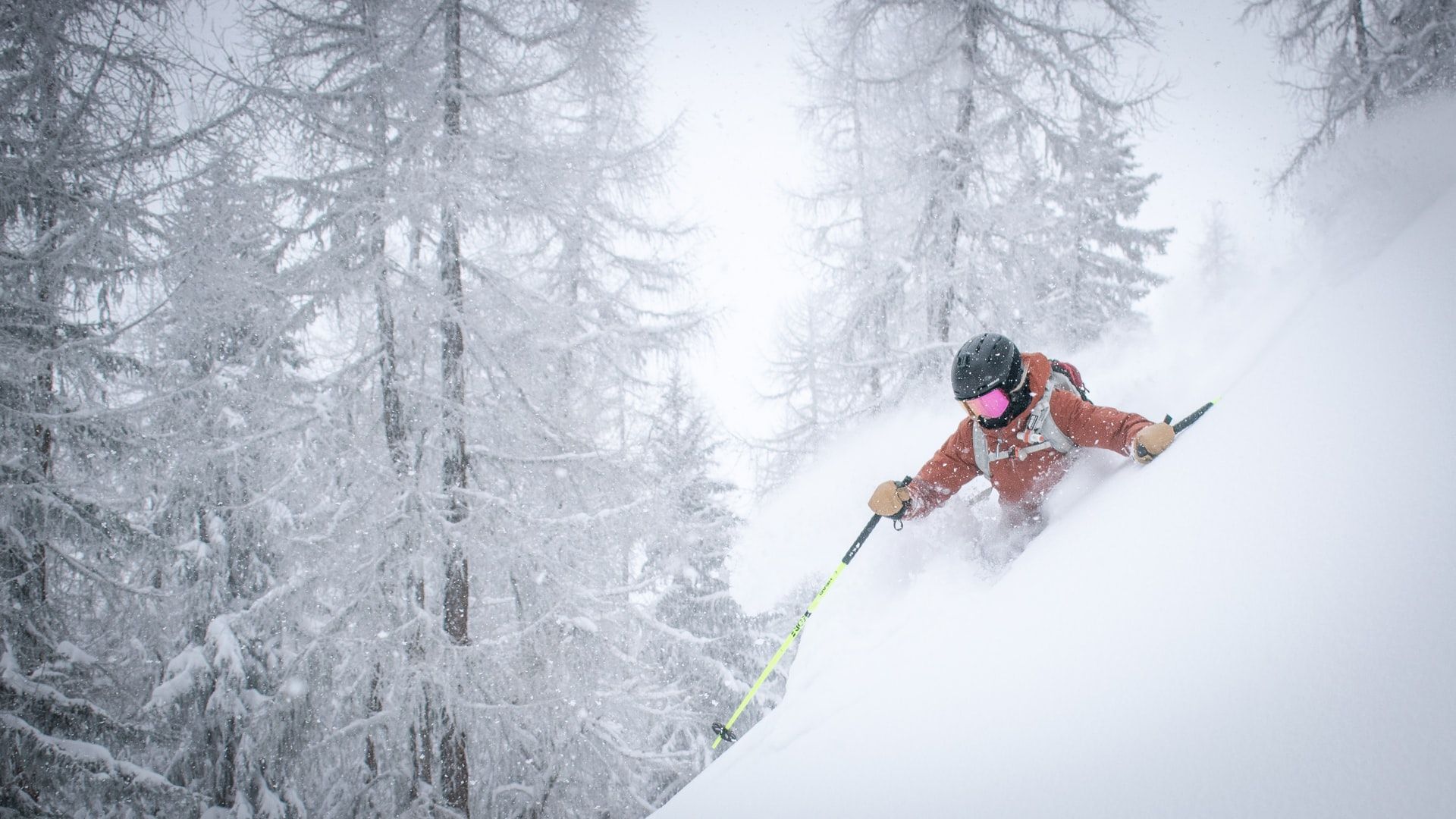 Les Gets: Esquí en la nieve fresca entre altos árboles en los Alpes.