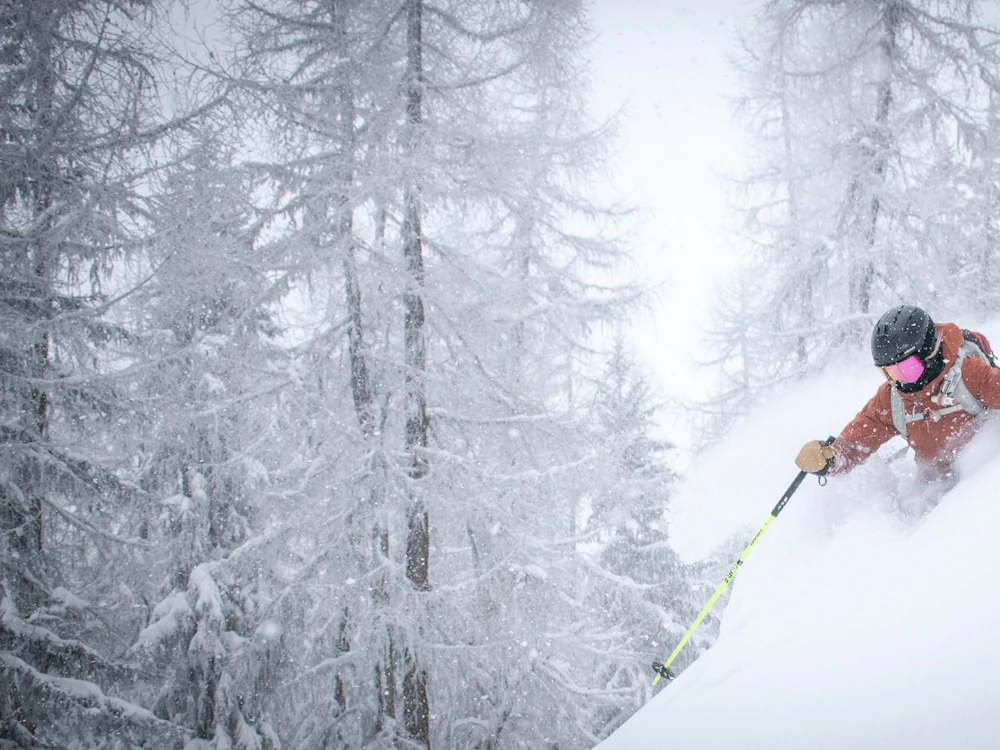 Les Gets: Ski di salju segar di antara pohon-pohon tinggi di Pegunungan Alpen.