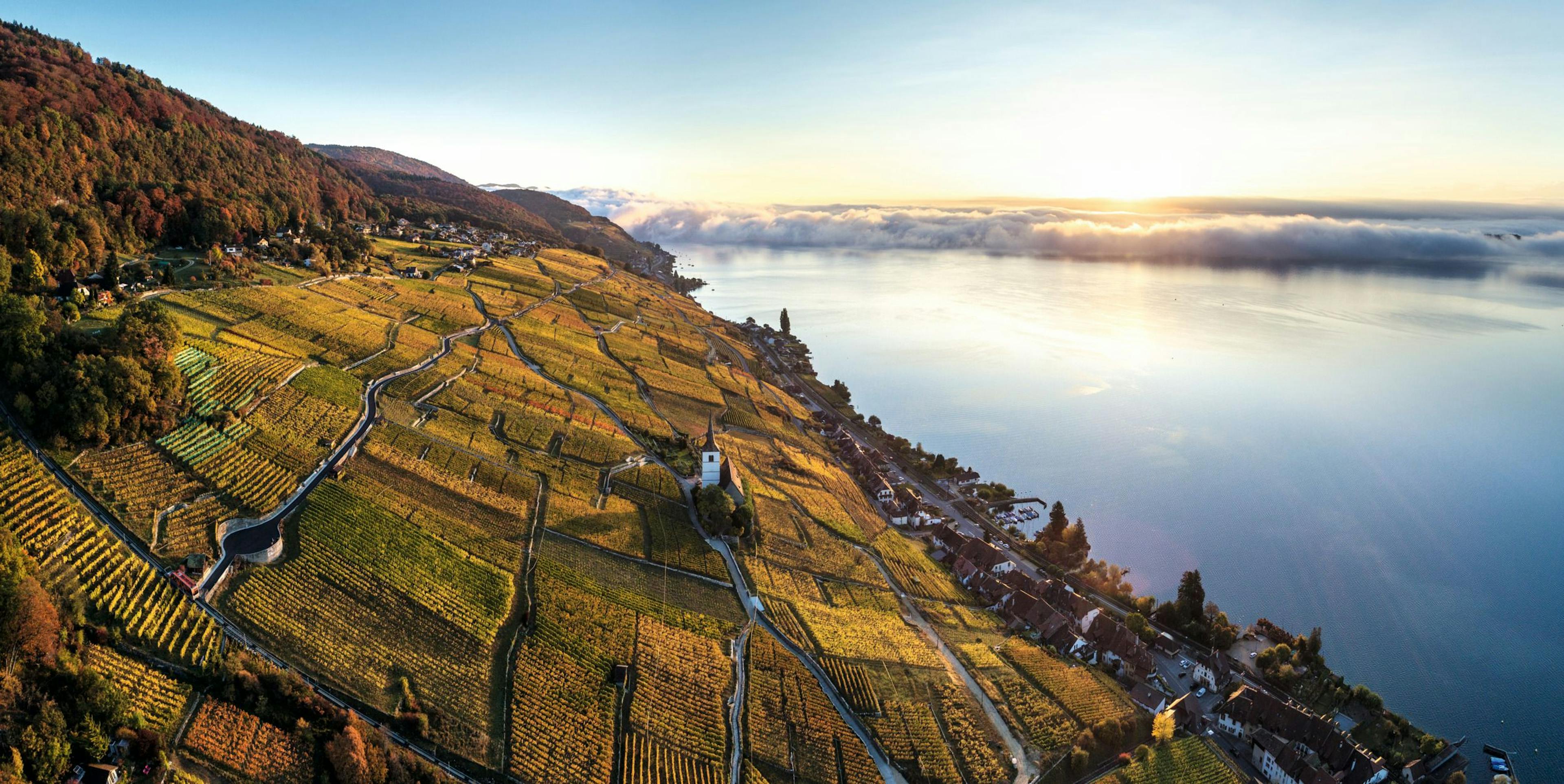 Montañas: Viñedos y paisajes en el lago de Ginebra en Suiza durante la temporada de otoño.
