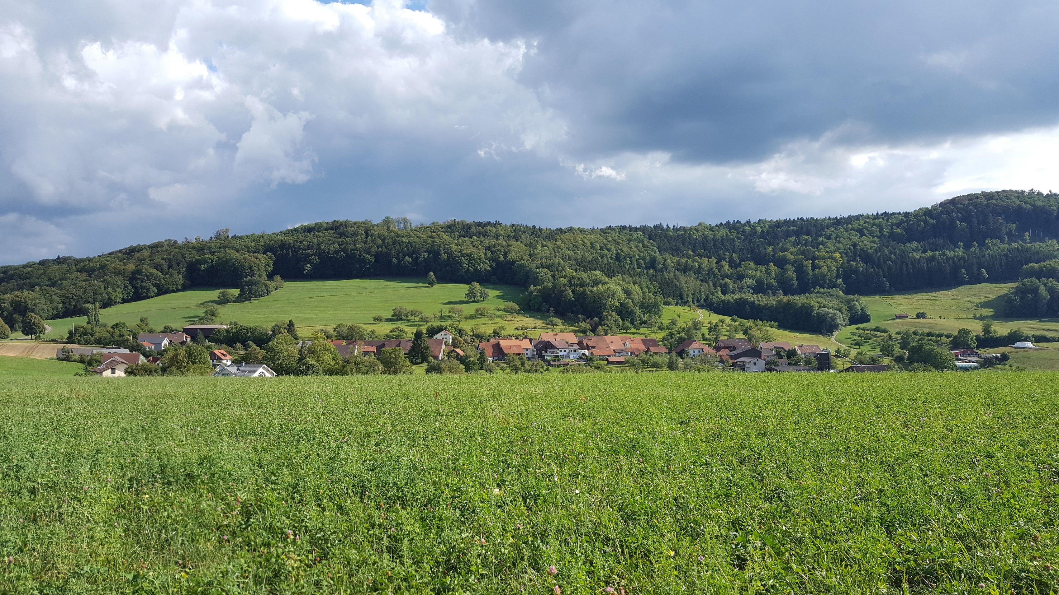 Βραδινή πεζοπορία στο σπήλαιο Brotherhöl bei Effingen με ήρεμο τοπίο και πράσινα λιβάδια