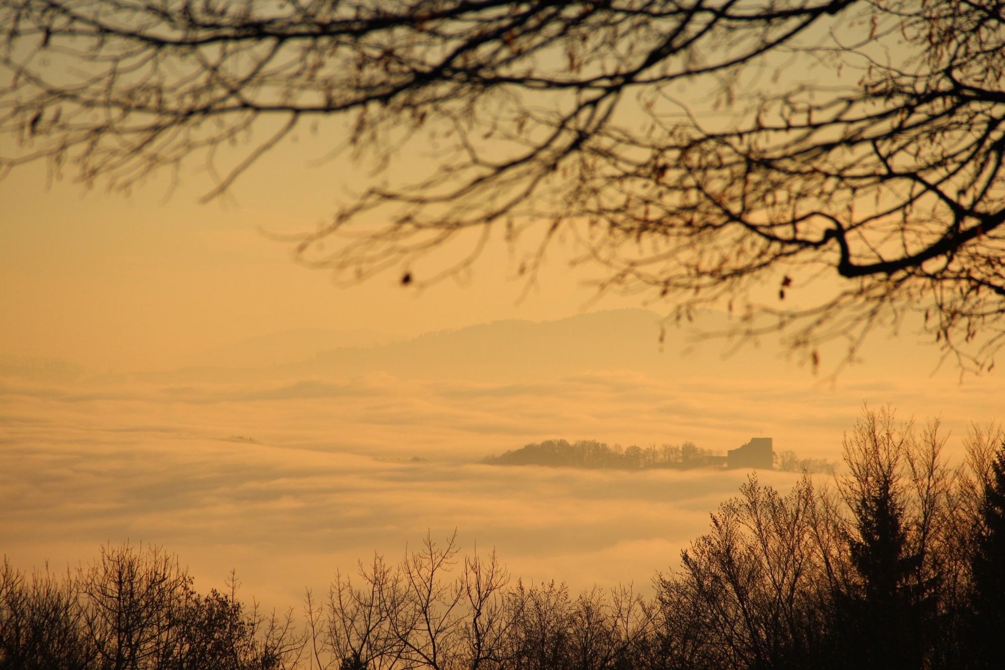 Linner Linden: Dimma över förtrollande landskap med berg och träd vid solnedgången.