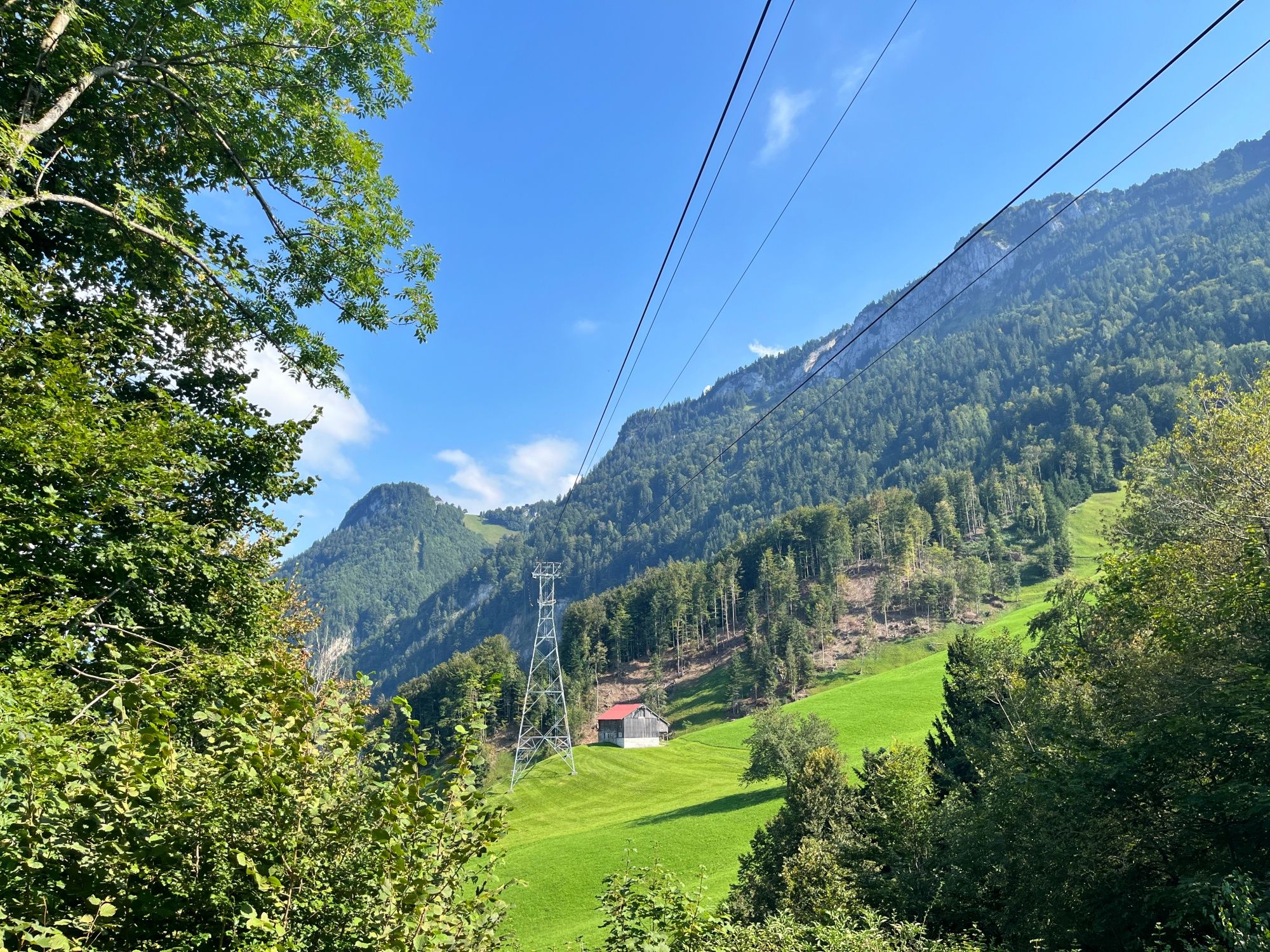 Funivia Morschach: Vista panoramica sulle montagne e natura pittoresca in estate.