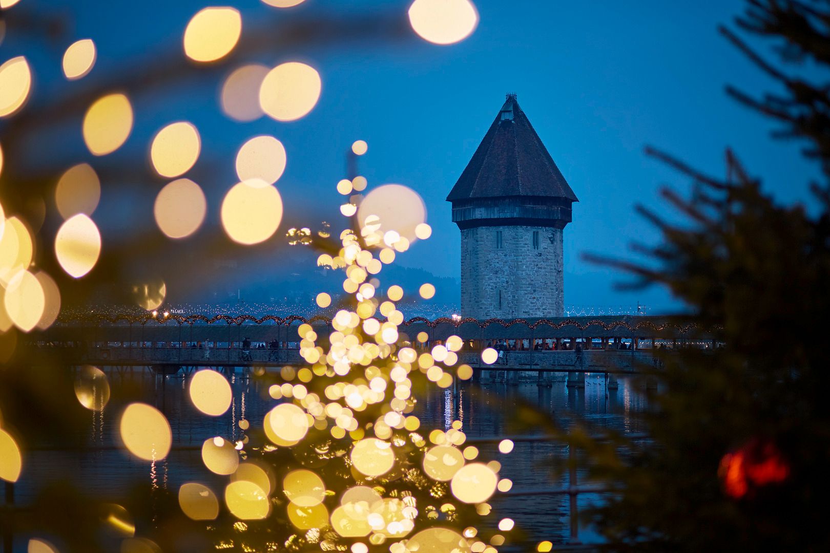 Lawatan Bandar Luzern Sempena Krismas dengan pokok Krismas berlampu dan Menara Air