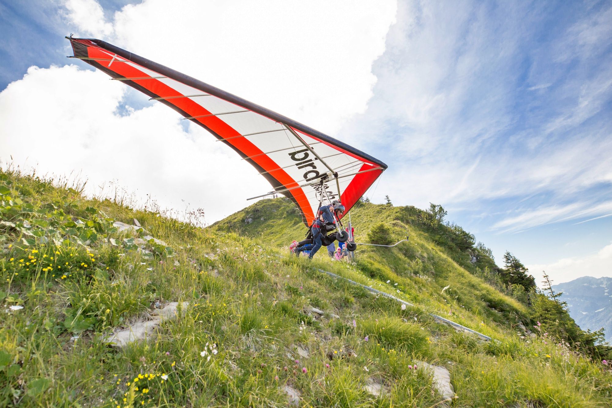 デルタフライ：緑の草原と青い空の山の上のフライヤー