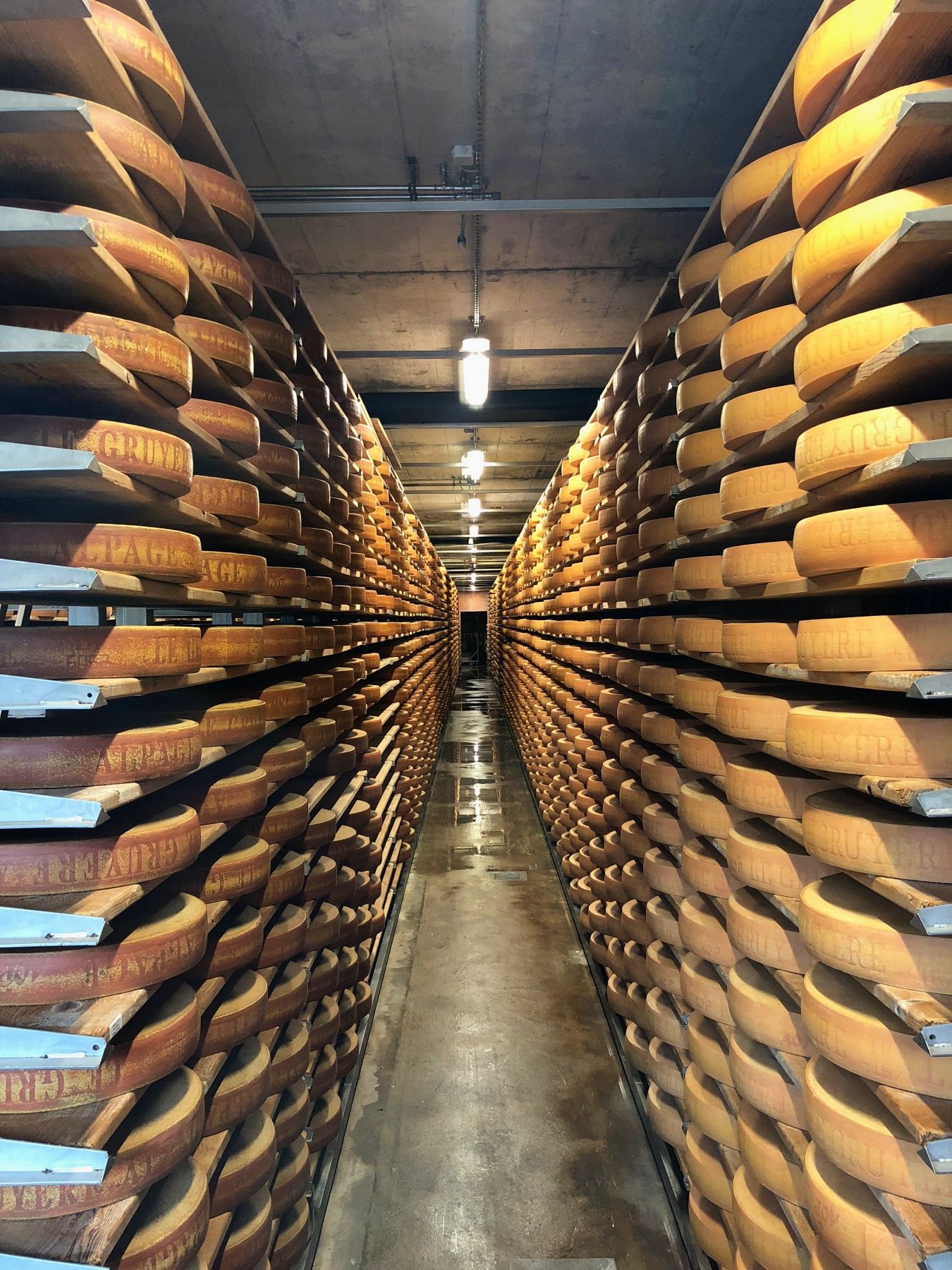 Gruyère Käsekeller mit gereiftem Käse in Regalen