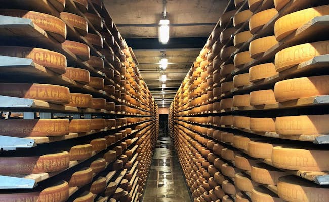 Gruyère cheese cellar