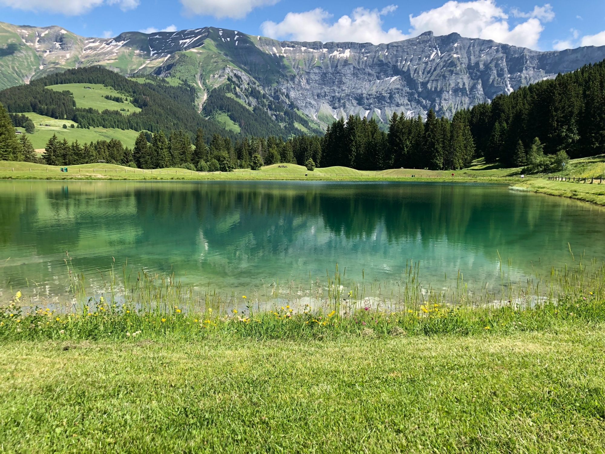 Megève: Idilio junto al lago, rodeado de montañas y naturaleza verde en invierno.