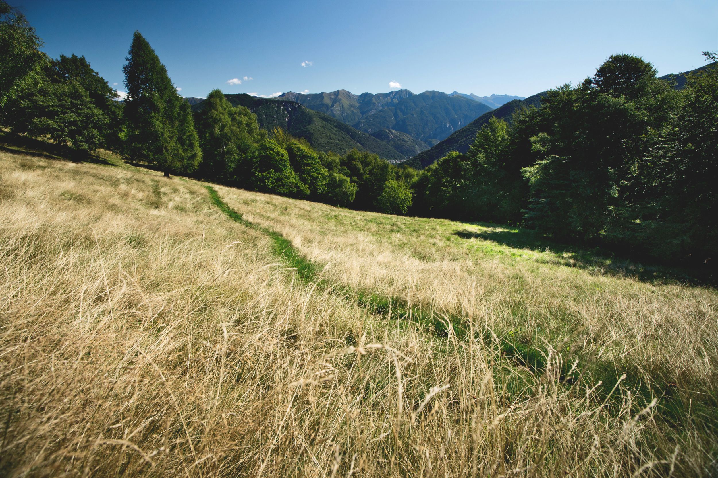 Monti Centovalli : paysage pittoresque avec des montagnes, des prairies verdoyantes et des possibilités de randonnée en été.