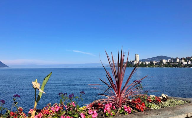 Montreux (Foto: Seraina)