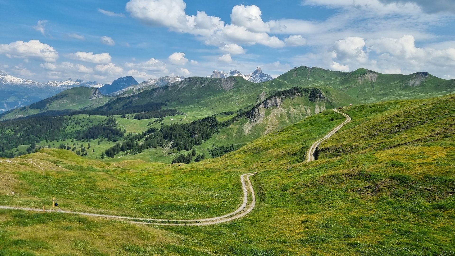 Morschach: paesaggio verde pittoresco con montagne alpine e cielo azzurro chiaro in estate