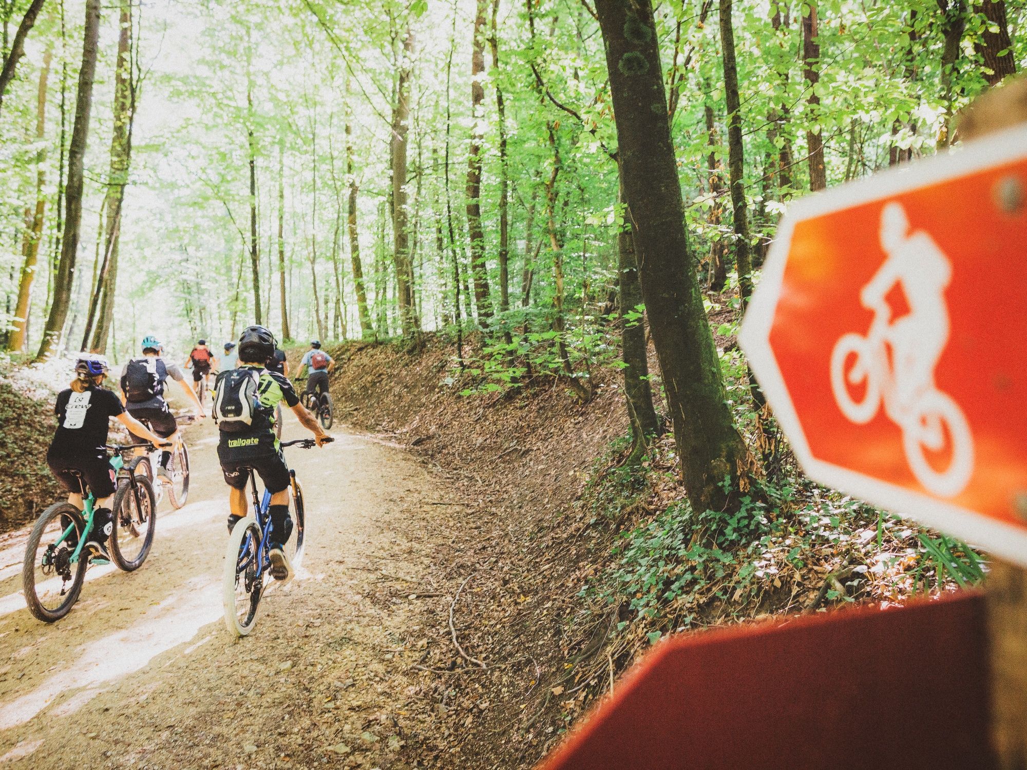 Mountainbike: grupo de ciclistas num estreito caminho florestal nos Alpes.