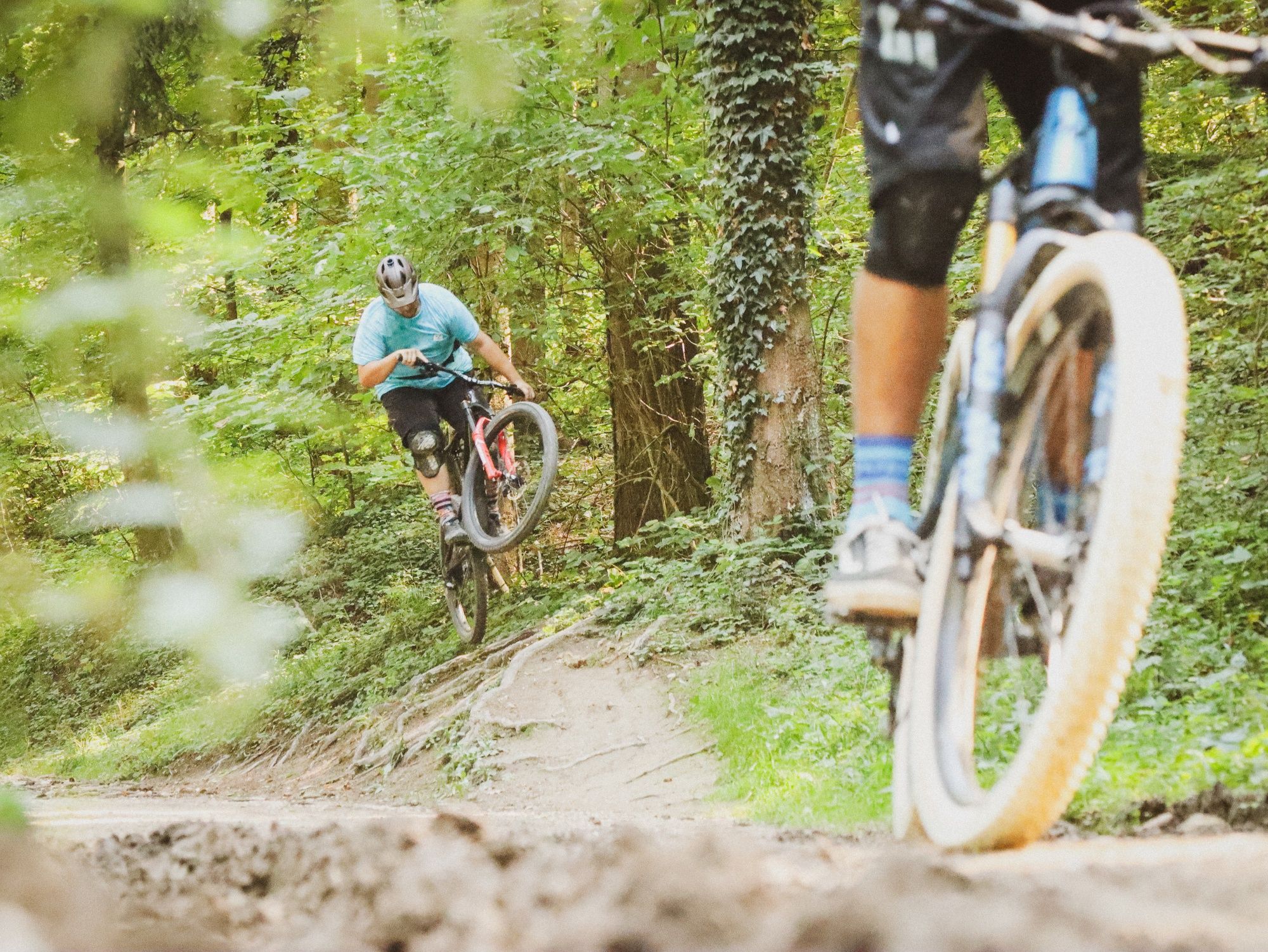 Mountainbike: ciclista numa trilha na floresta, rodeado por árvores e natureza.