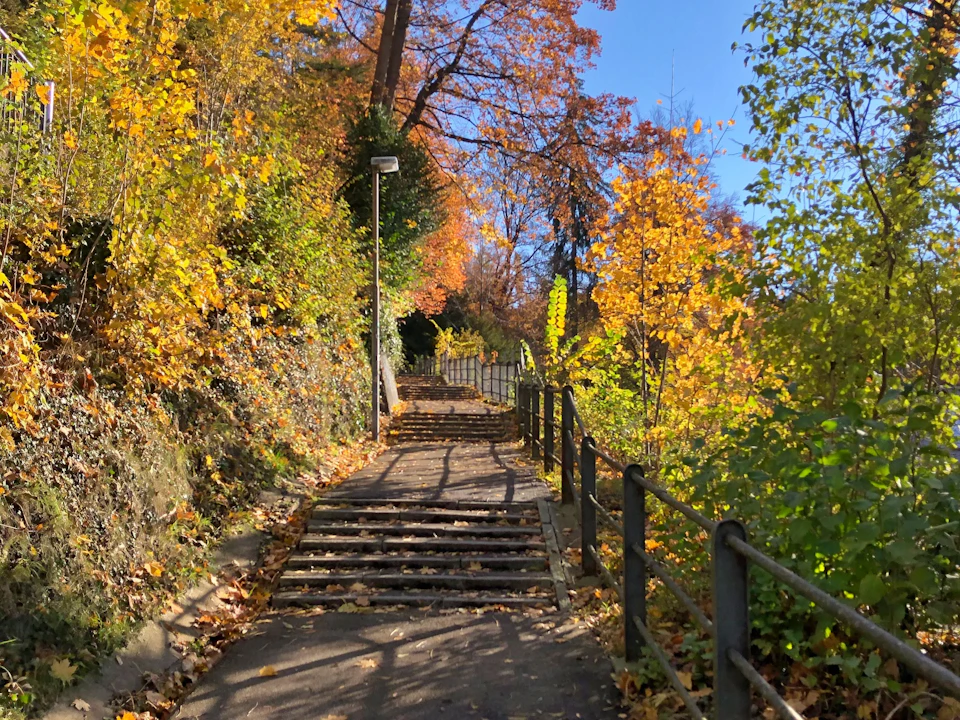 Mühlenenschlucht