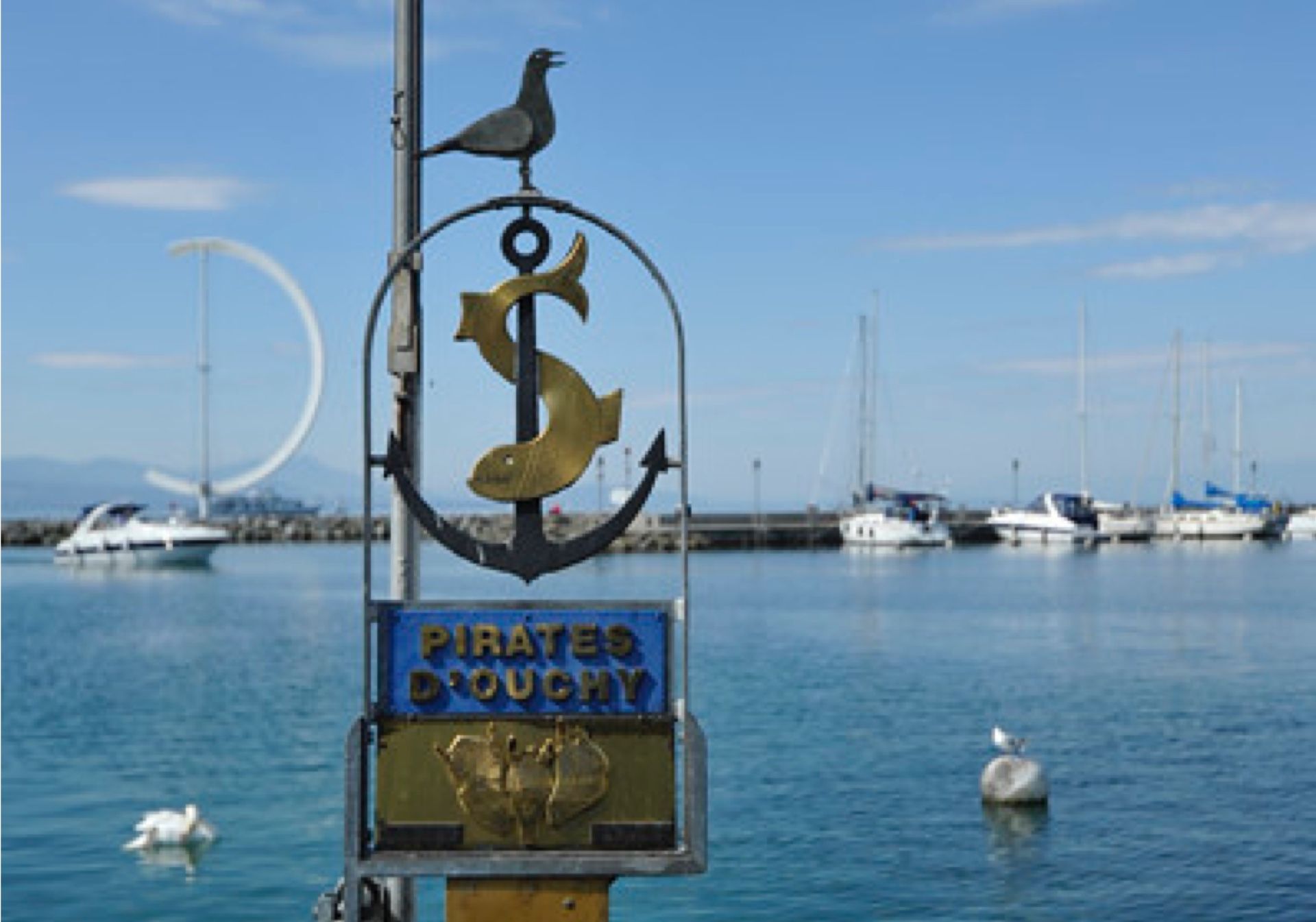 Lausanne Ouchy: pemandangan pelabuhan yang menakjubkan dengan air, kapal, dan burung di musim panas.