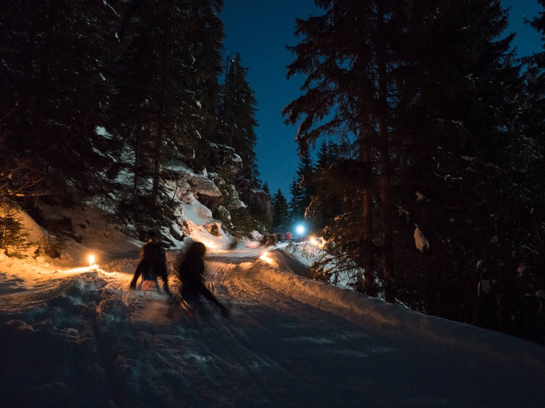 Trineo nocturno: tour guiado por el paisaje invernal nevado de Interlaken.
