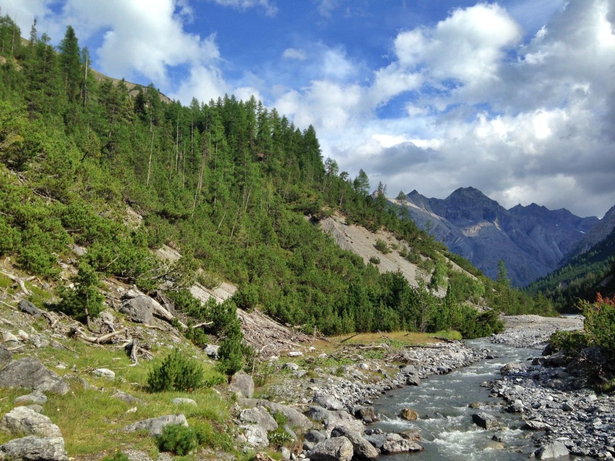 Miniere d'argento di S-charl: paesaggio pittoresco con fiume e montagne, circondato da foreste e natura.