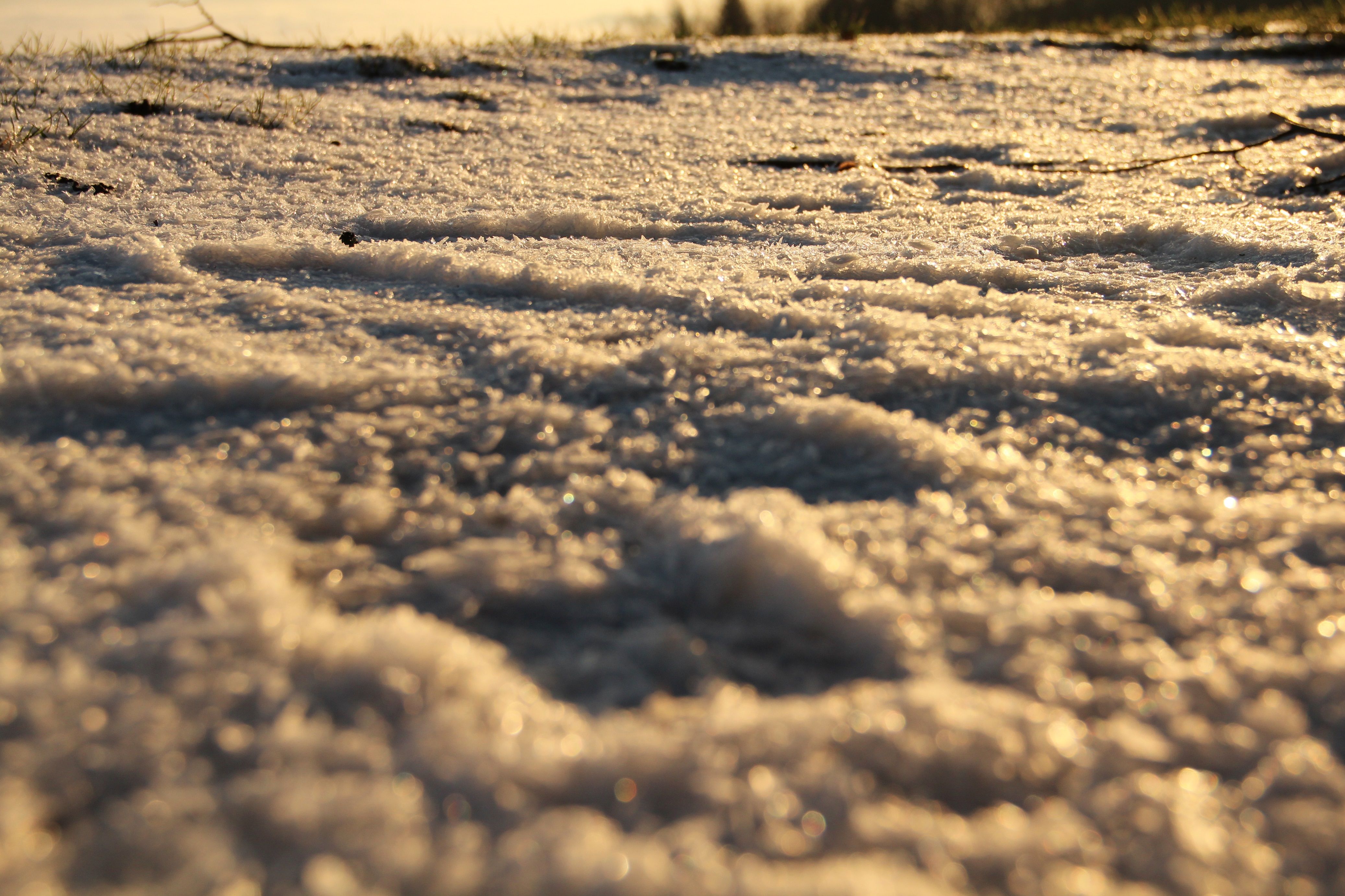 Winterwanderung: Schnee glitzert im Sonnenlicht, einzigartig in der winterlichen Natur, ruhige Atmosphäre.