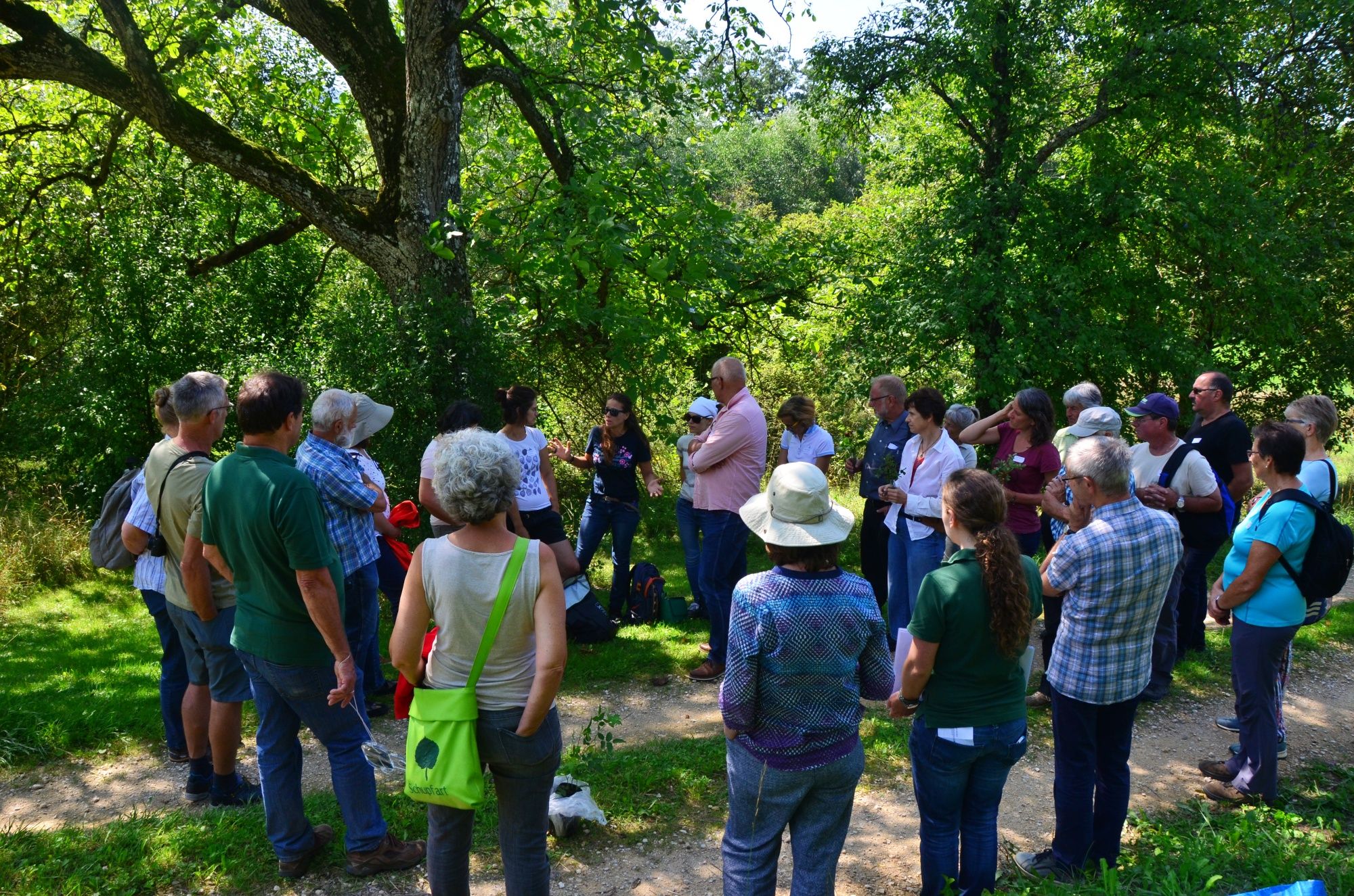 Síťová událost: lidé se schází v přírodě na akci zaměřenou na péči o krajinu a ochranu přírody.