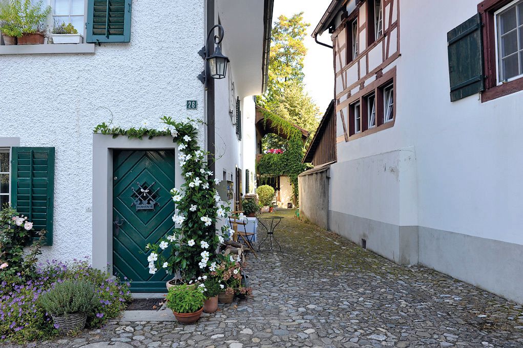 Obermühle Andelfingen: Rua histórica com casas decoradas com flores no verão.
