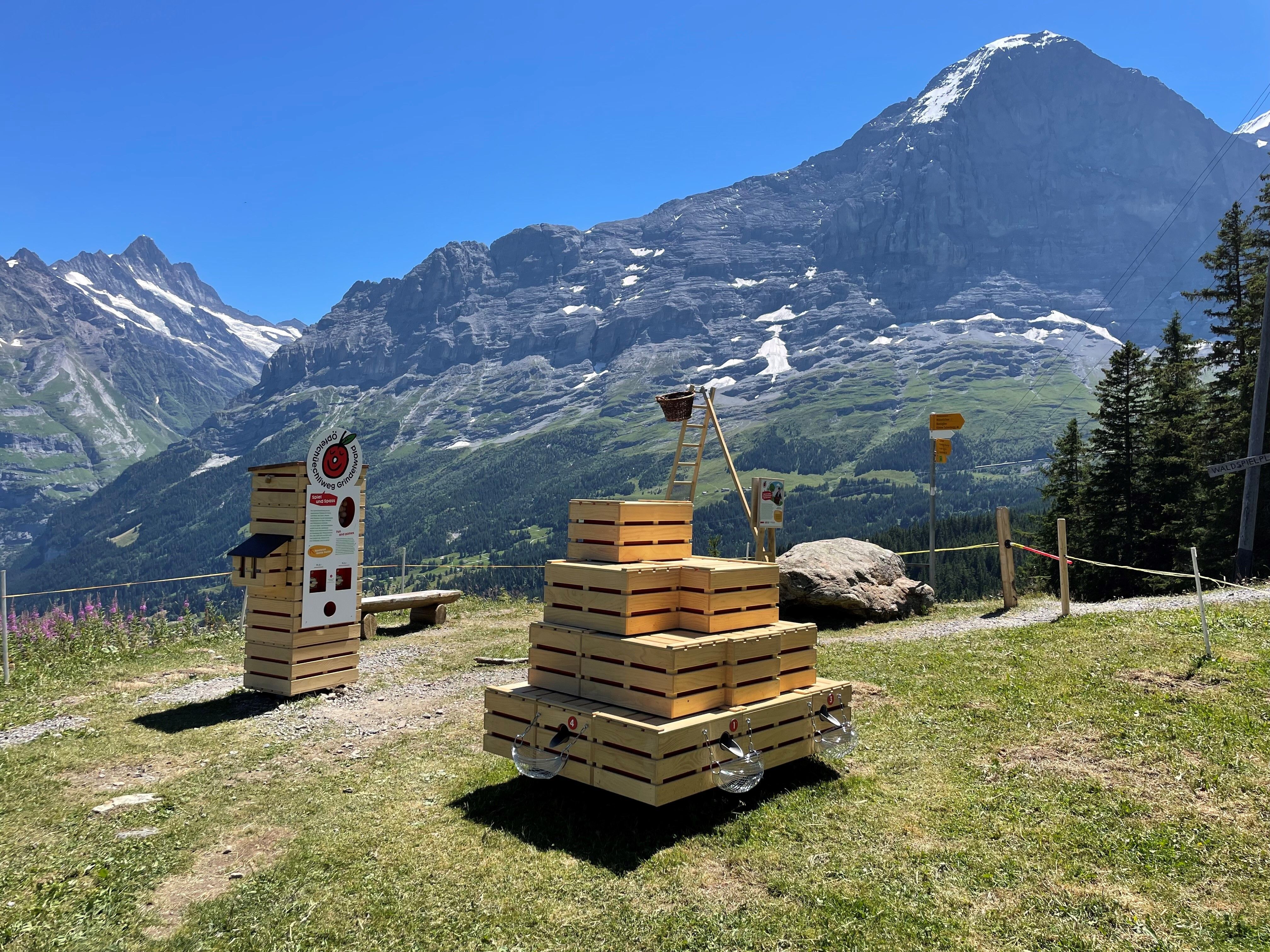 Oeppelchuechliweg: maleriske træskulpturer og bjerge i baggrunden, perfekt til vandreture og afslapning.