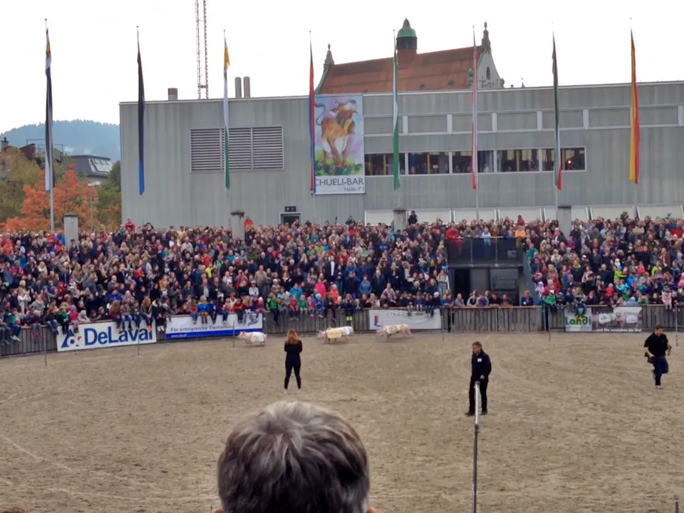 Olma St. Gallen