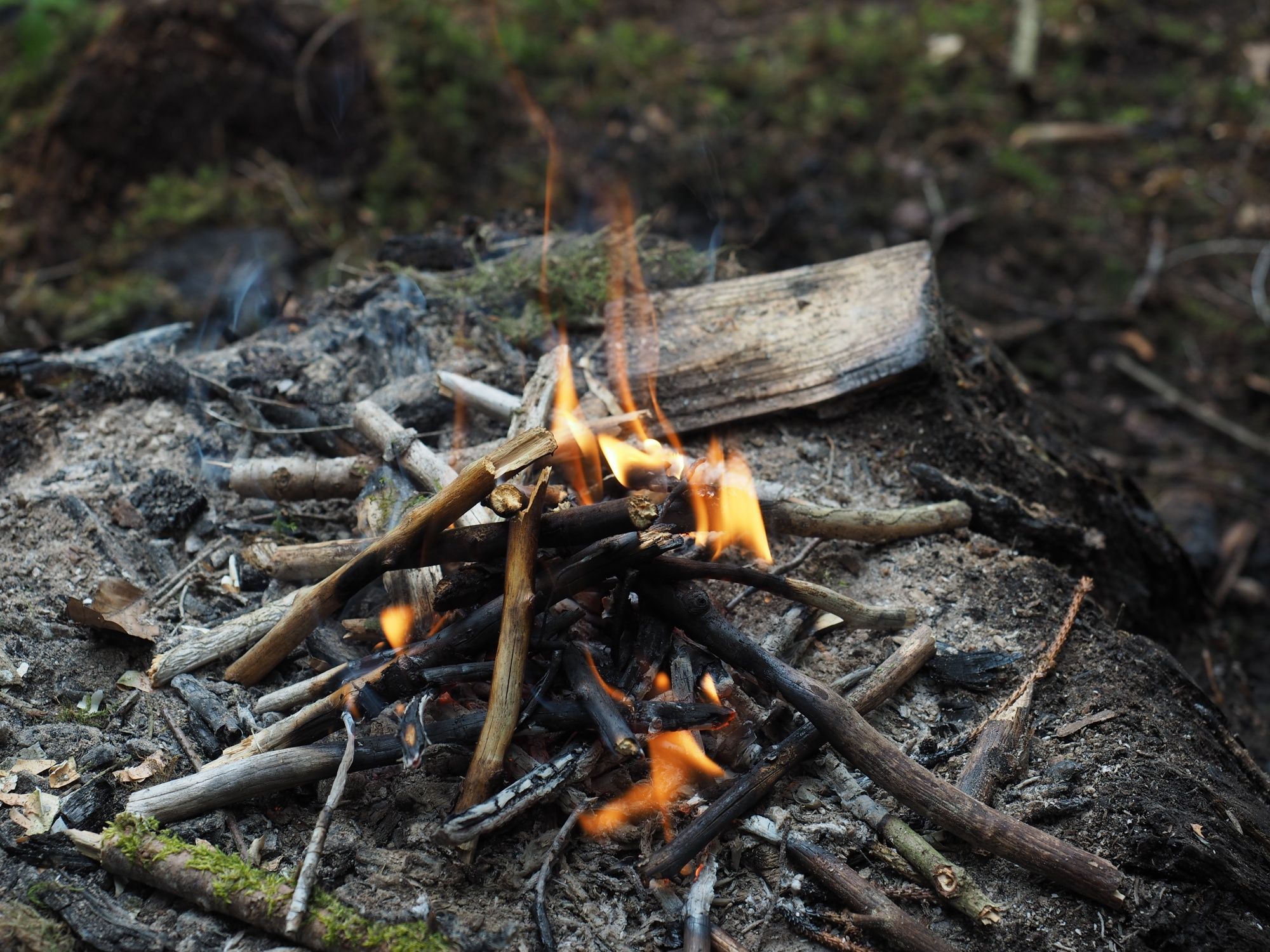 Kitchener api: Api unggun di alam terbuka menciptakan momen kebersamaan saat memasak di luar ruangan.