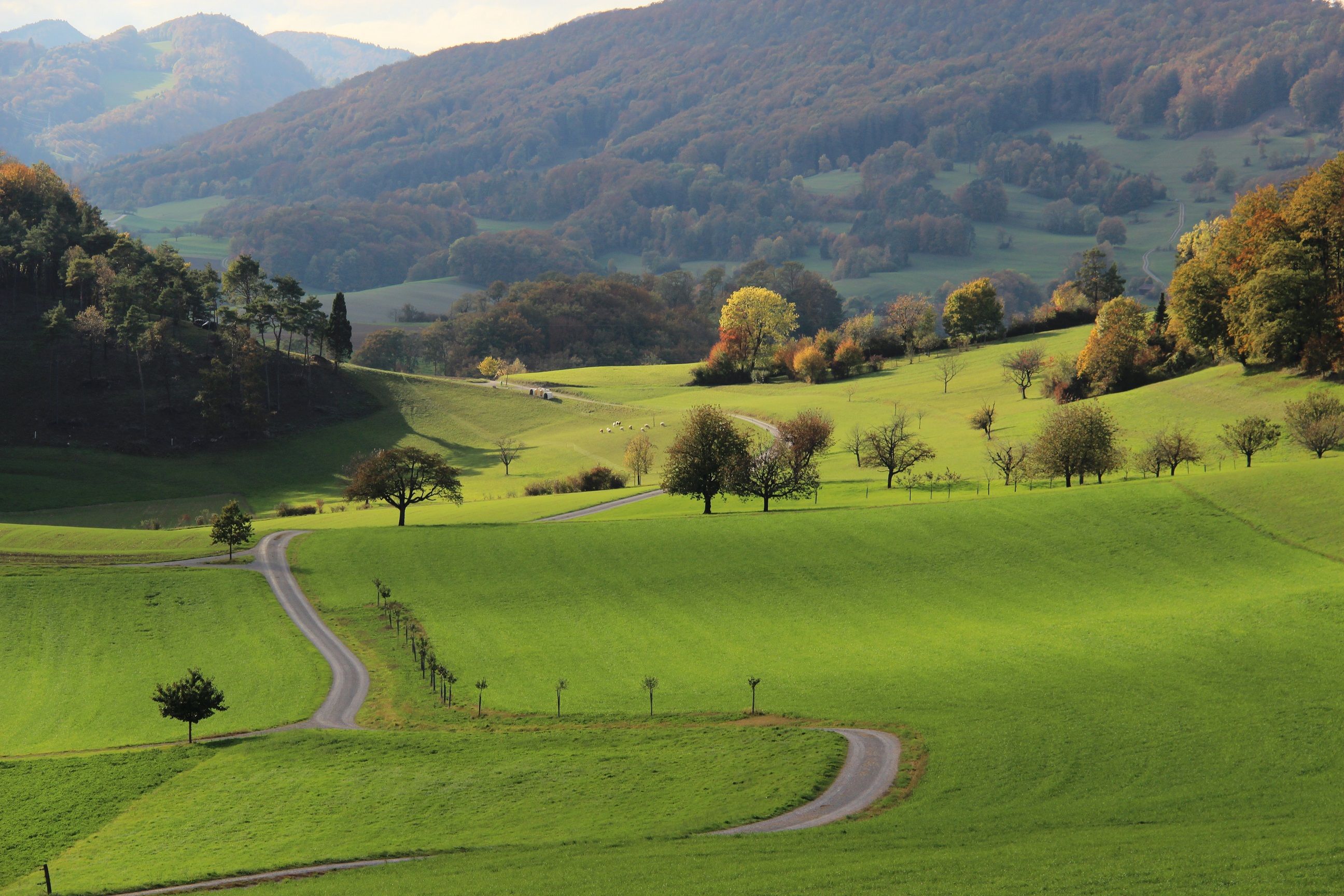 Perimukweg: idyllische Wanderung, Wildrosen, grüne Wiesen, Jurapark Aargau