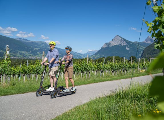 E-Scooter Tour: Erlebe die schöne Bündner Herrschaft beim Fahren durch Weinberge.