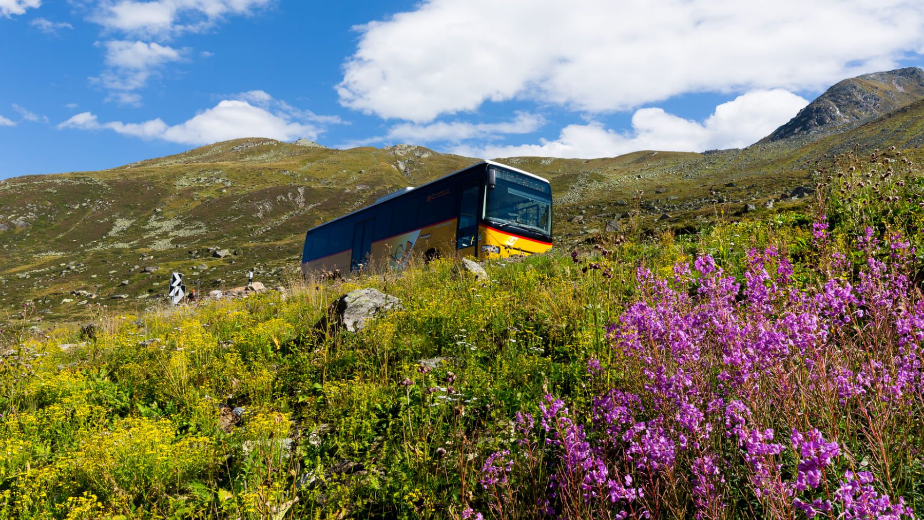 รถบัส Postauto ขับผ่านทิวทัศน์ที่สวยงามในภูเขาตอนฤดูร้อน เหมาะสำหรับการออกไปเที่ยวกลางแจ้ง.