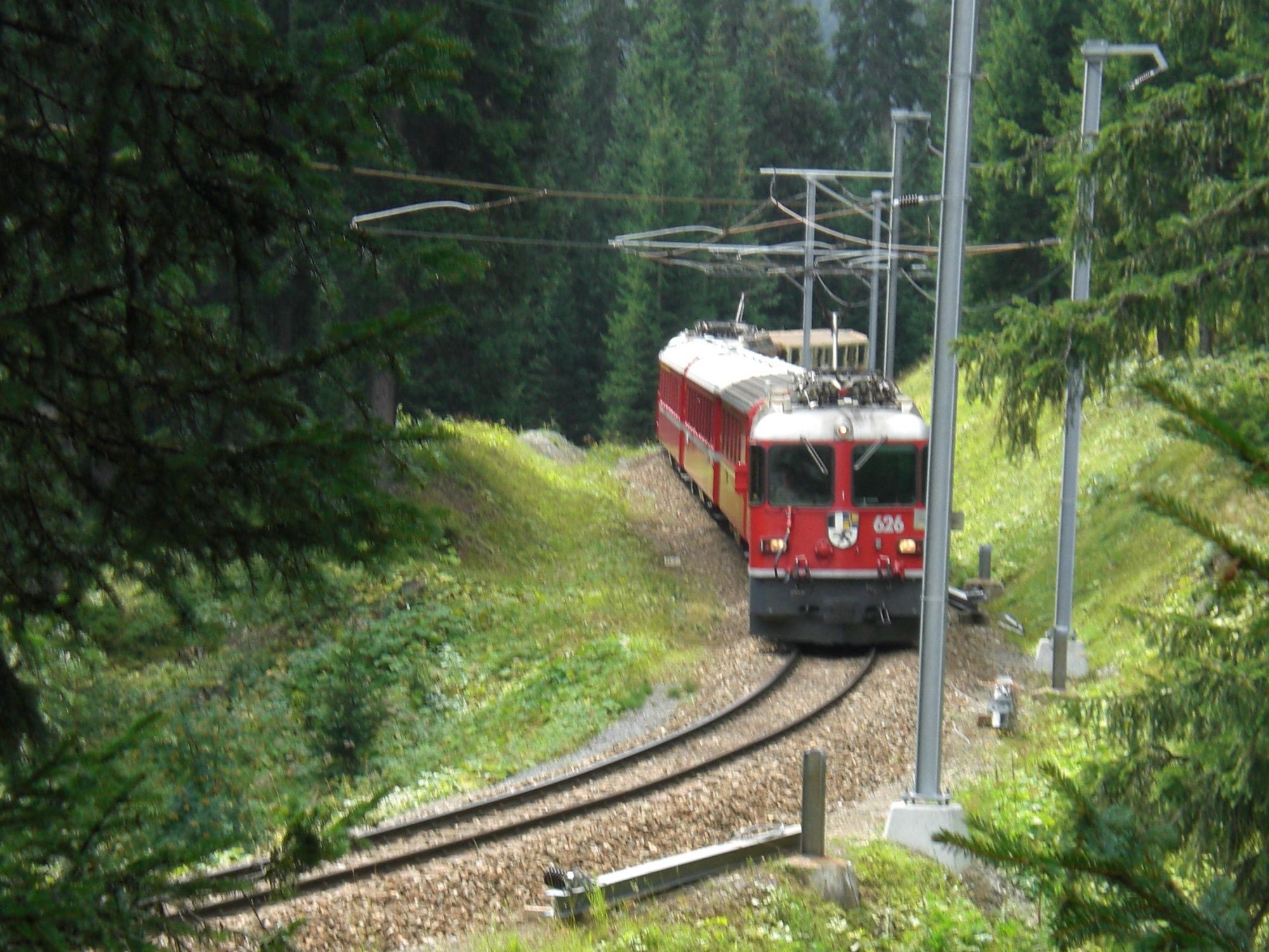 Estrada de Rhaetia: Viagem de trem pitoresca pelos Alpes Suíços com florestas verdes.