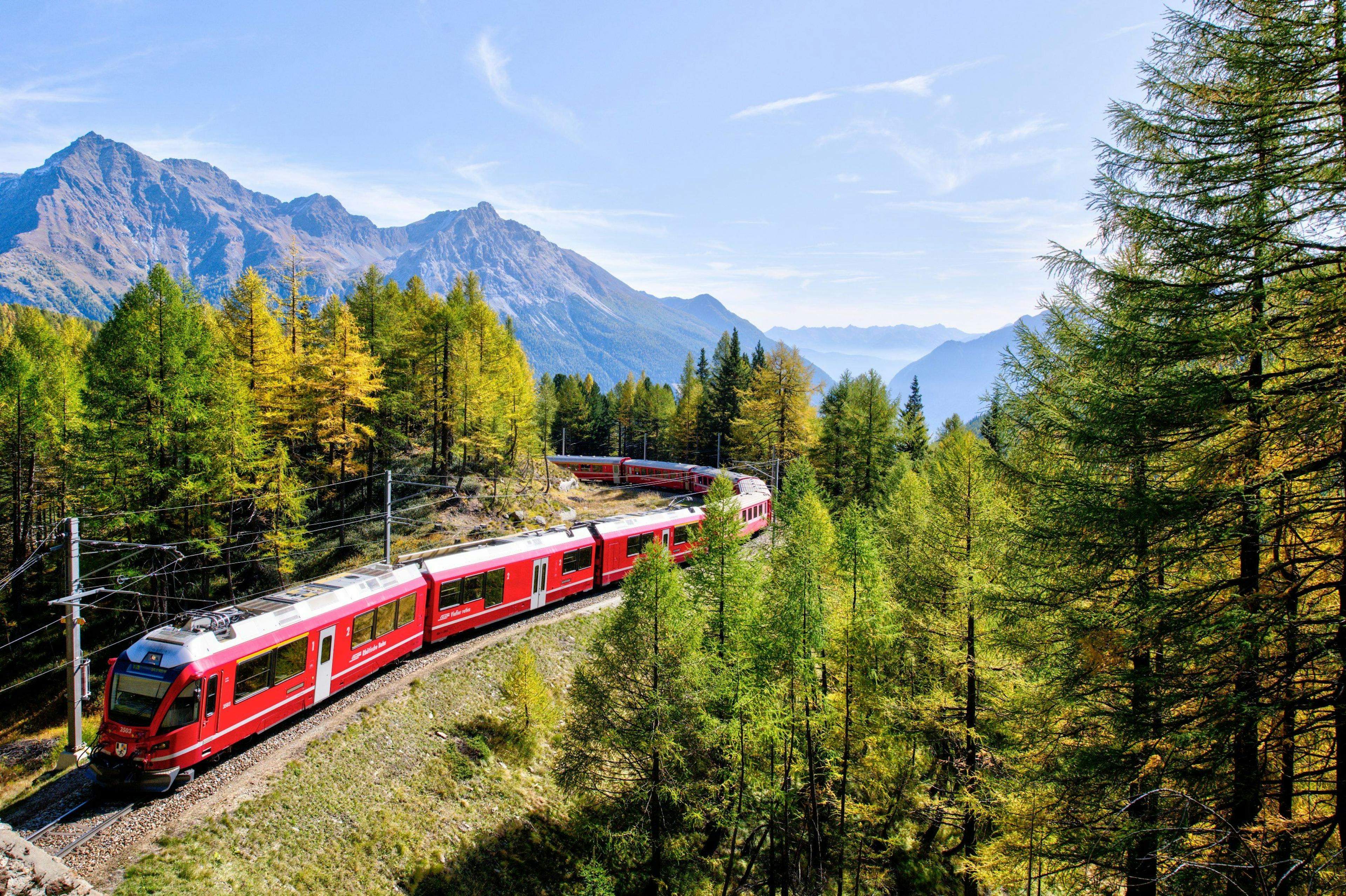 Ferrovie Retiche: treni in un paesaggio montano pittoresco tra larici in estate.