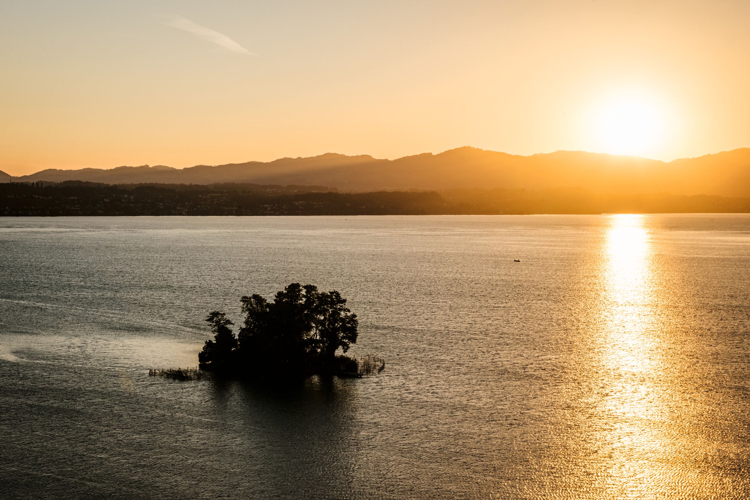 Richterswil ö Schoenenwerd i solnedgången med lugnt vatten, perfekt för naturälskare och de som söker avkoppling.