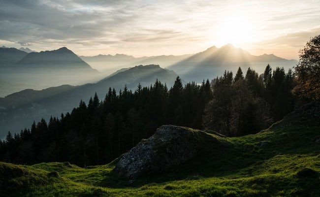 रिगी पर्वत वन पैनोरमा सूर्यास्त के समय, पर्वत और वन