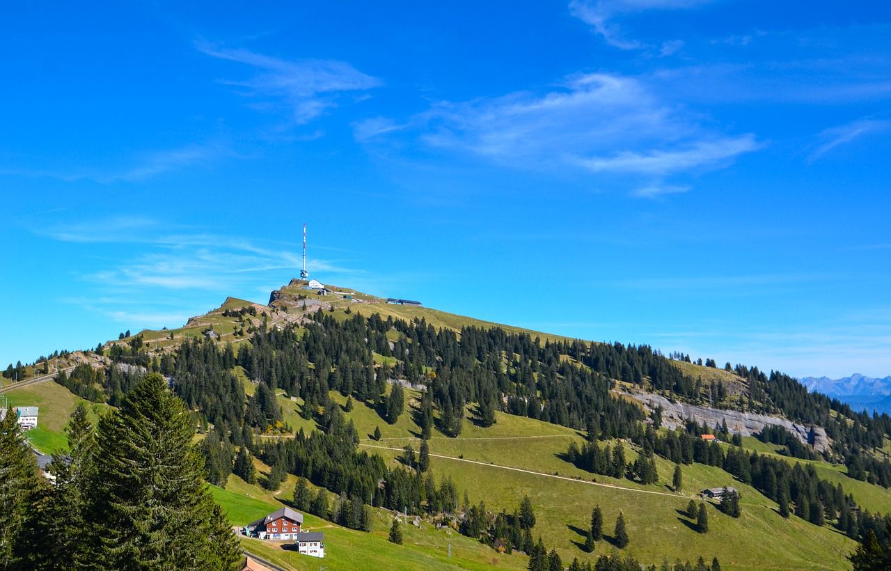 Rigi in summer shows green alpine meadows and hikers under a blue sky.