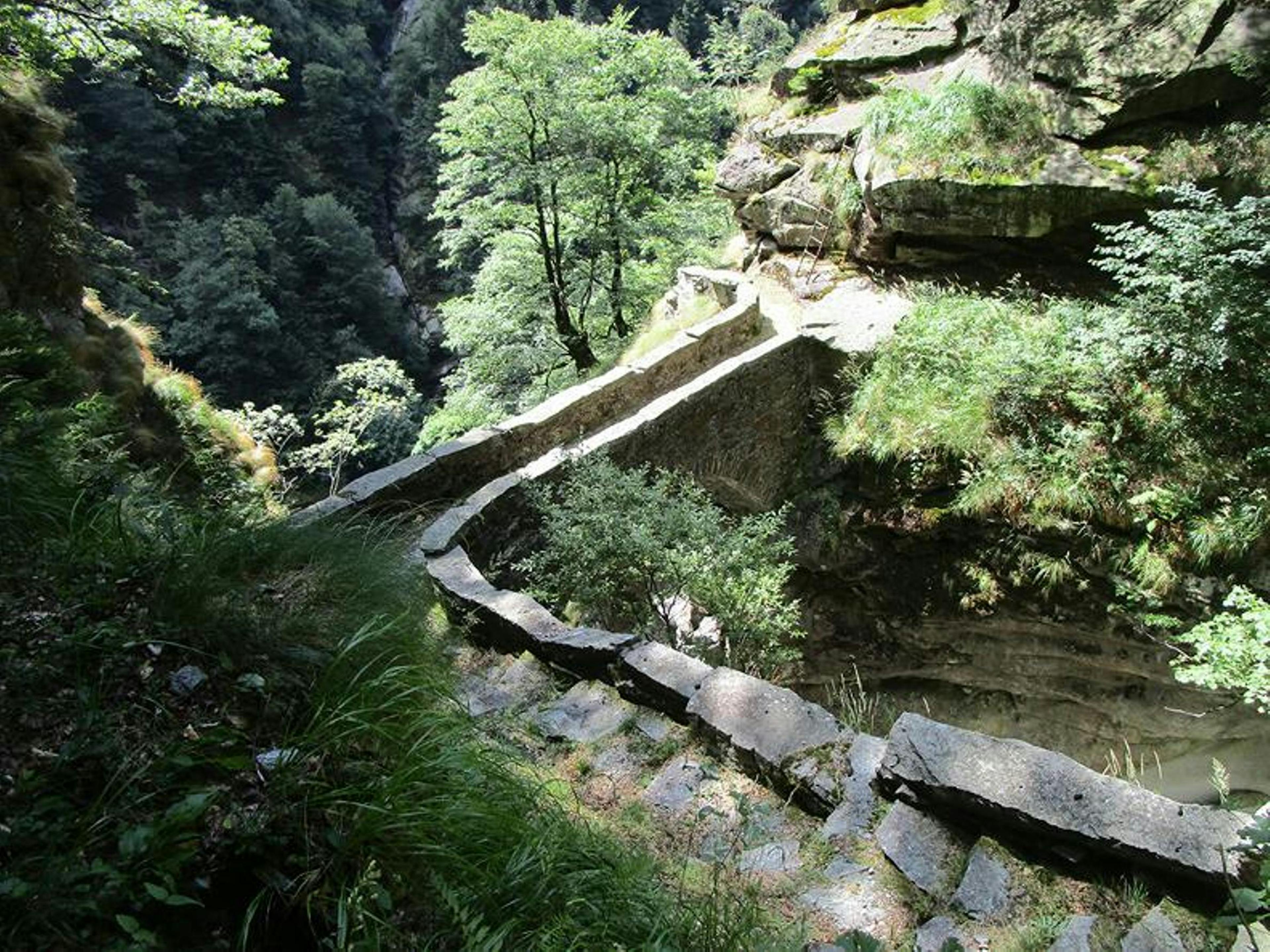 Skalní zahrada s úzkými turistickými stezkami obklopená stromy