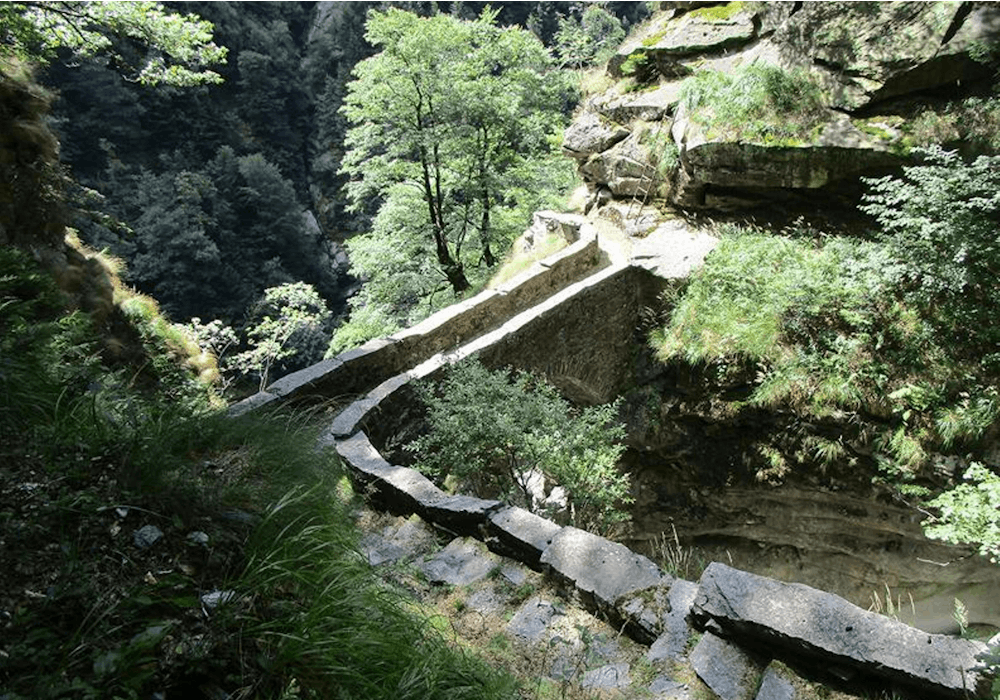 Jardín de piedras con senderos estrechos rodeados de árboles