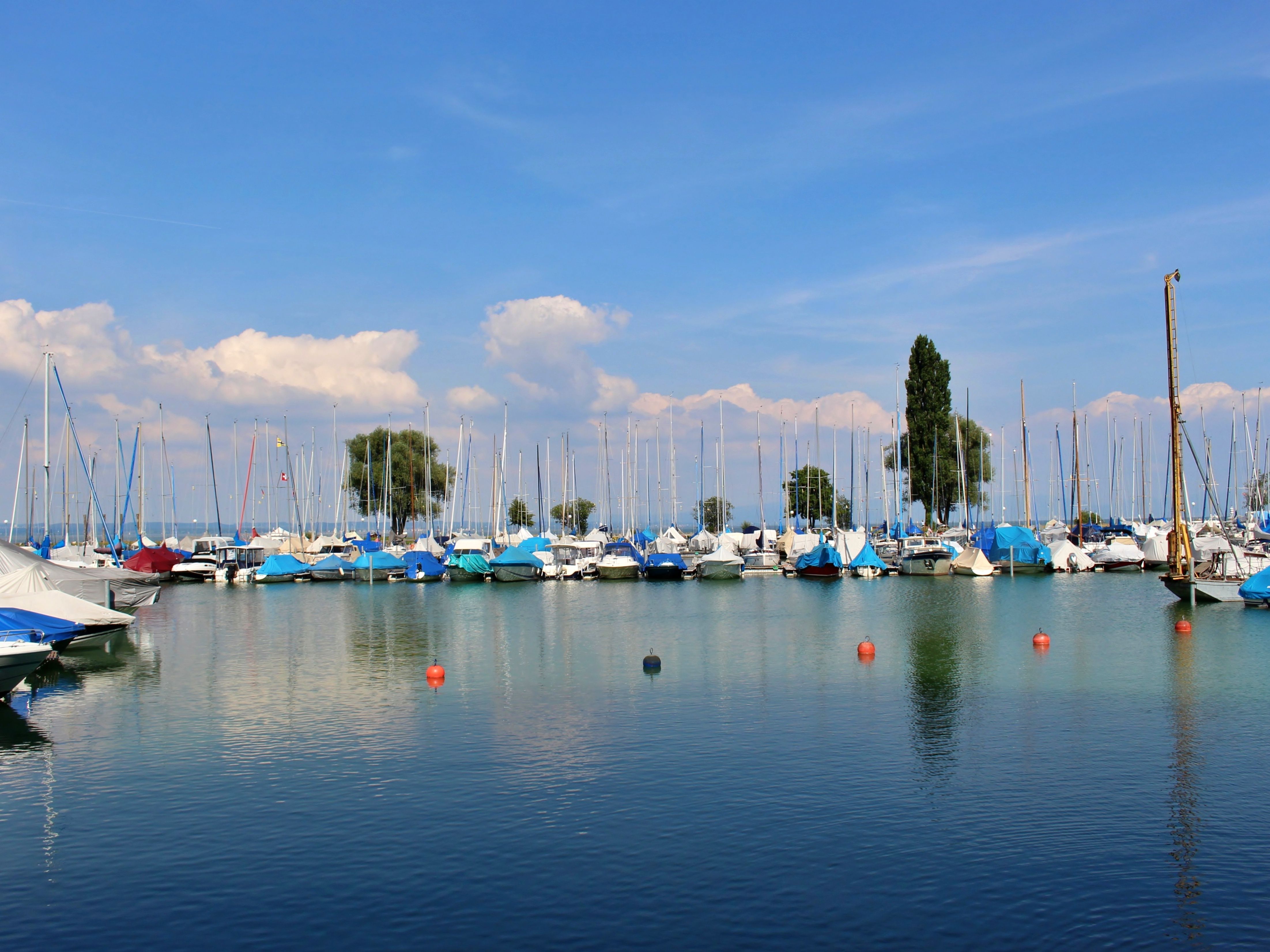 Romanshorn: Det maleriske havneområde medYachter og blå både ved Bodensøen i Schweiz.