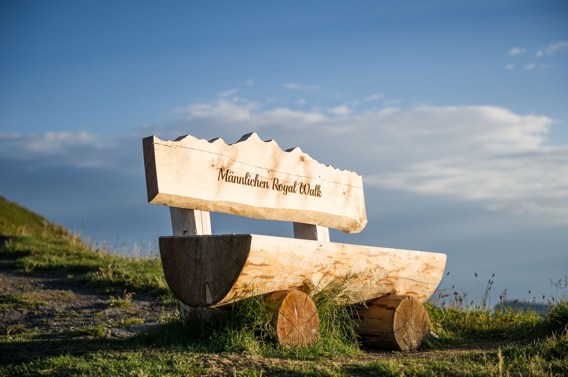 Männlichen Royal Walk-bænk med trædesign