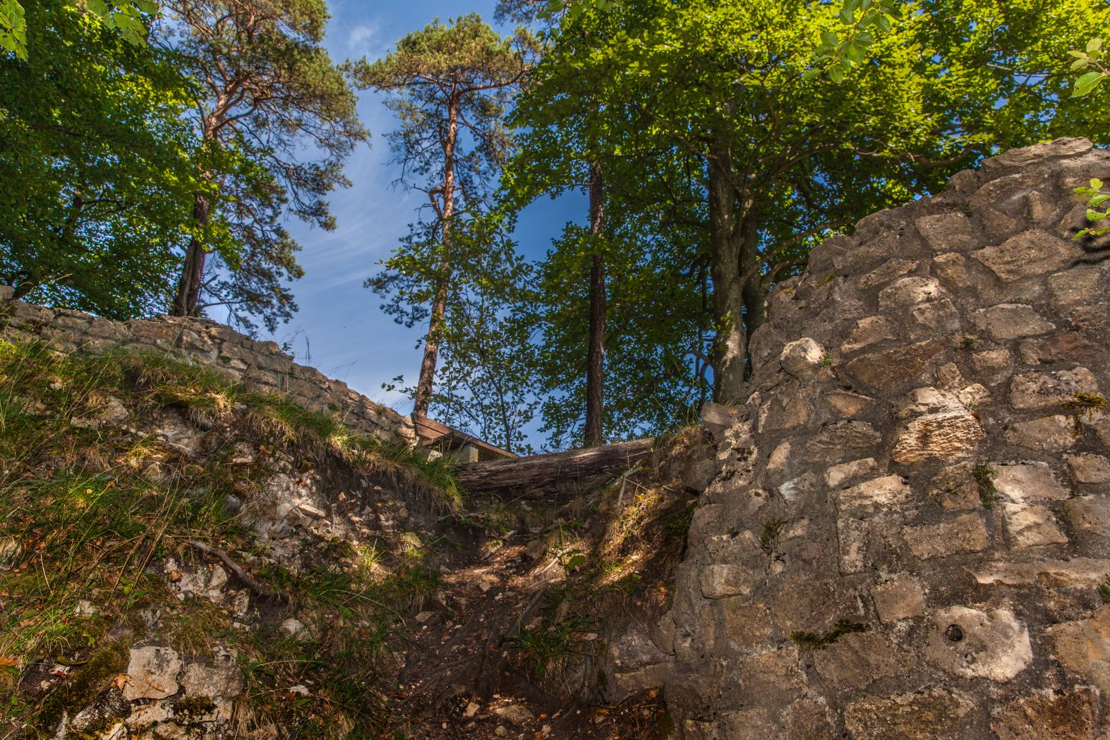 Kongstein Ruin: imponerende mur i skoven omgivet af træer og klar himmel