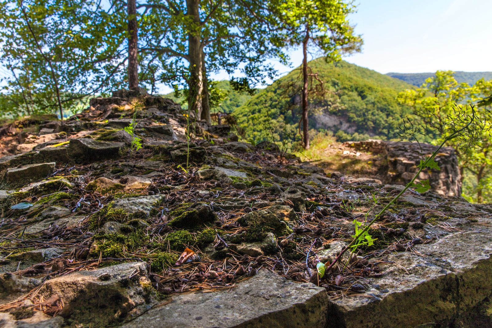 Kongstein Ruin: Imponerende skovlandskab med sten, udsigt over bakker og natur.