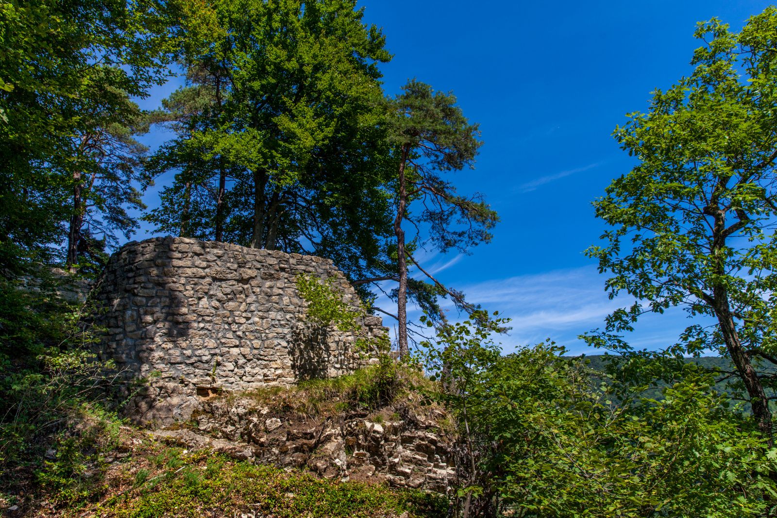Kongstein Ruin: imponerende udsigt over gamle mure, omgivet af træer og naturen om sommeren.