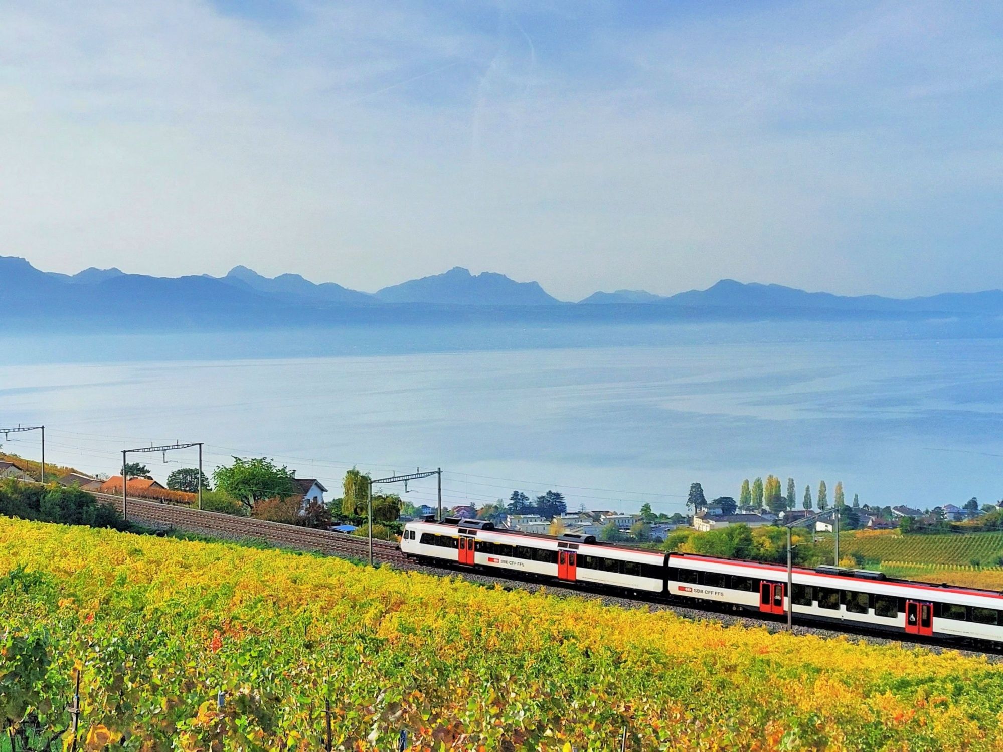 SBB-tåg kör förbi en idyllisk sjö omgiven av berg och vinrankor i Schweiz.