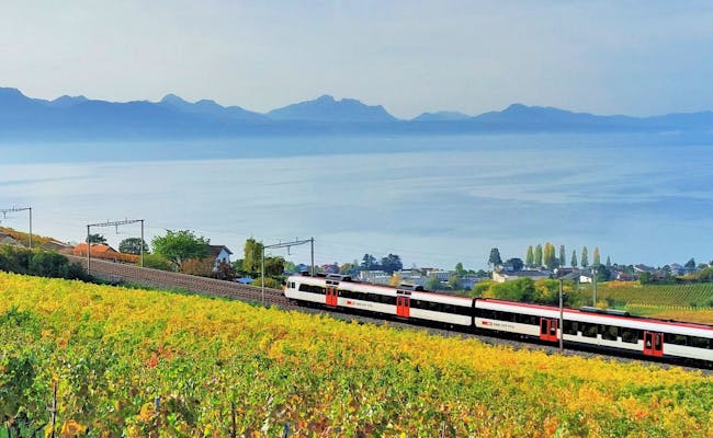 Zug aan het Meer van Genève: Beleef het schilderachtige landschap en de ontspannende treinreis langs het meer.