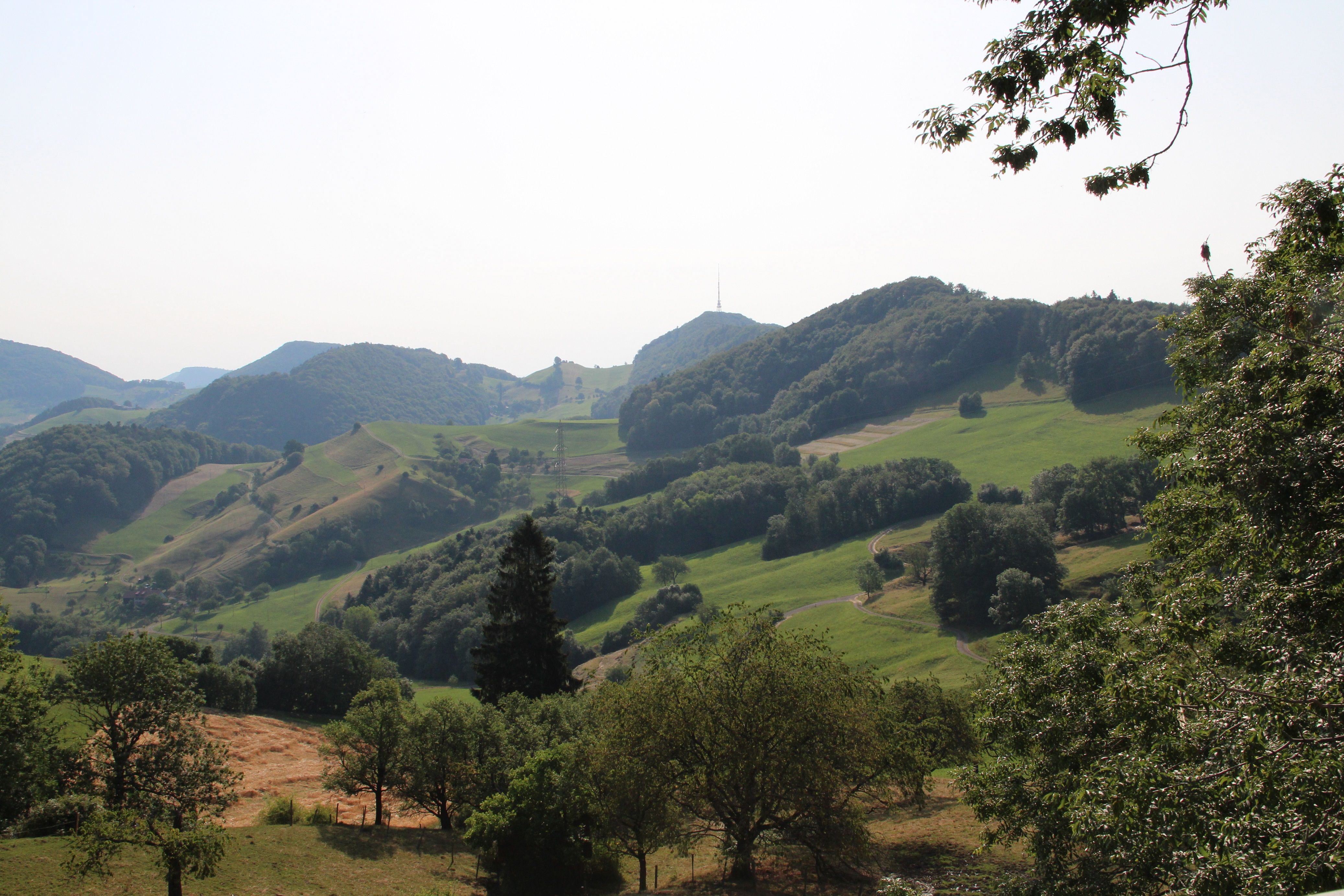 Kongstein Ruin: imponerende udsigt over Saalhöhe med frodig natur og bløde bakker.