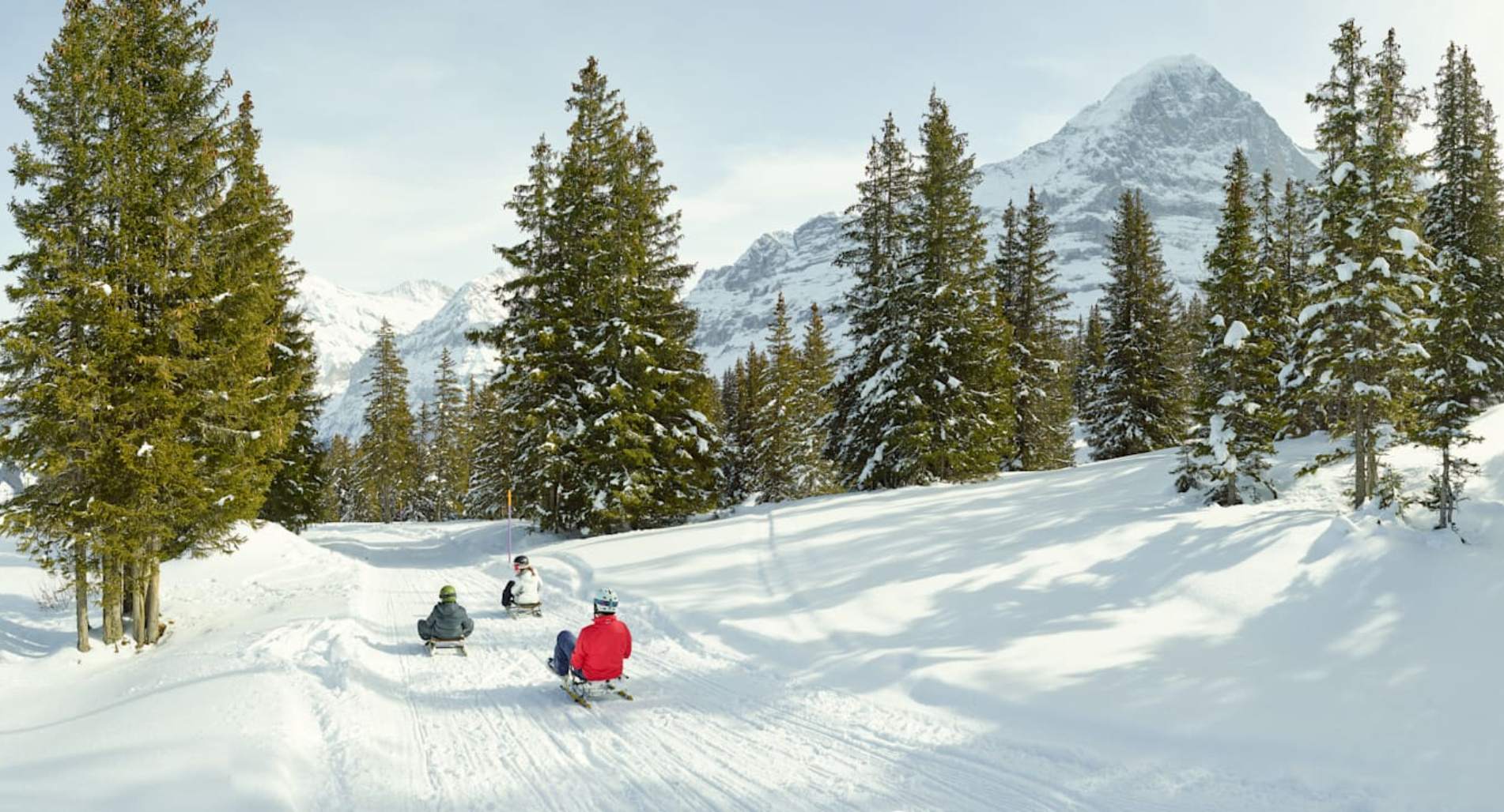 Катание на санках на трассе Риты в Гринделтвулле. Наслаждайтесь зимним пейзажем региона Эйгер.